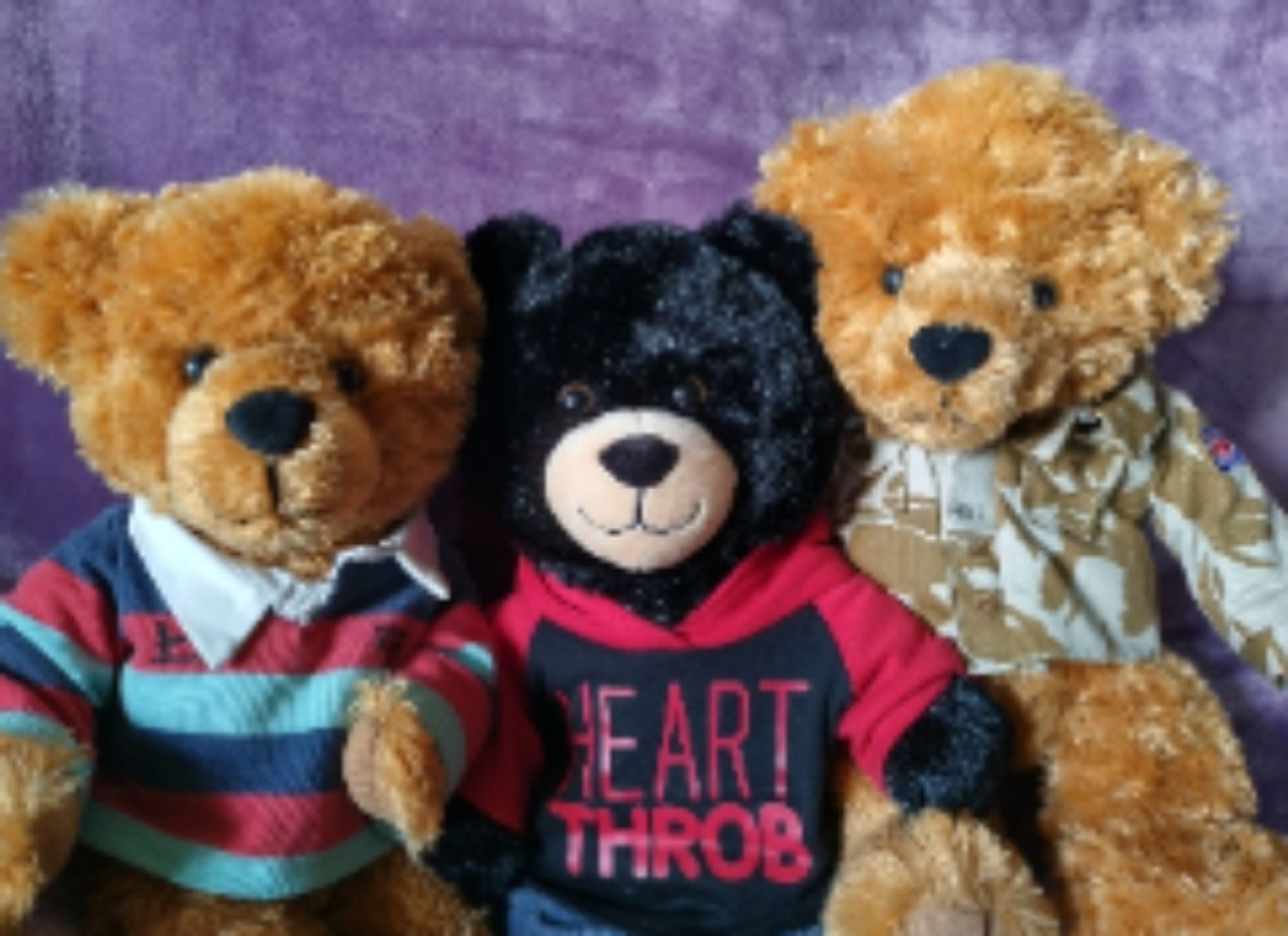 Barney, Brian and Bruce three bears that like food