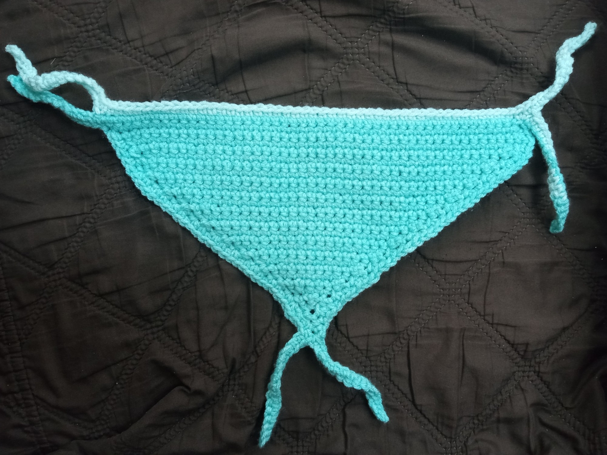 Teal crocheted marmoset case hammock.