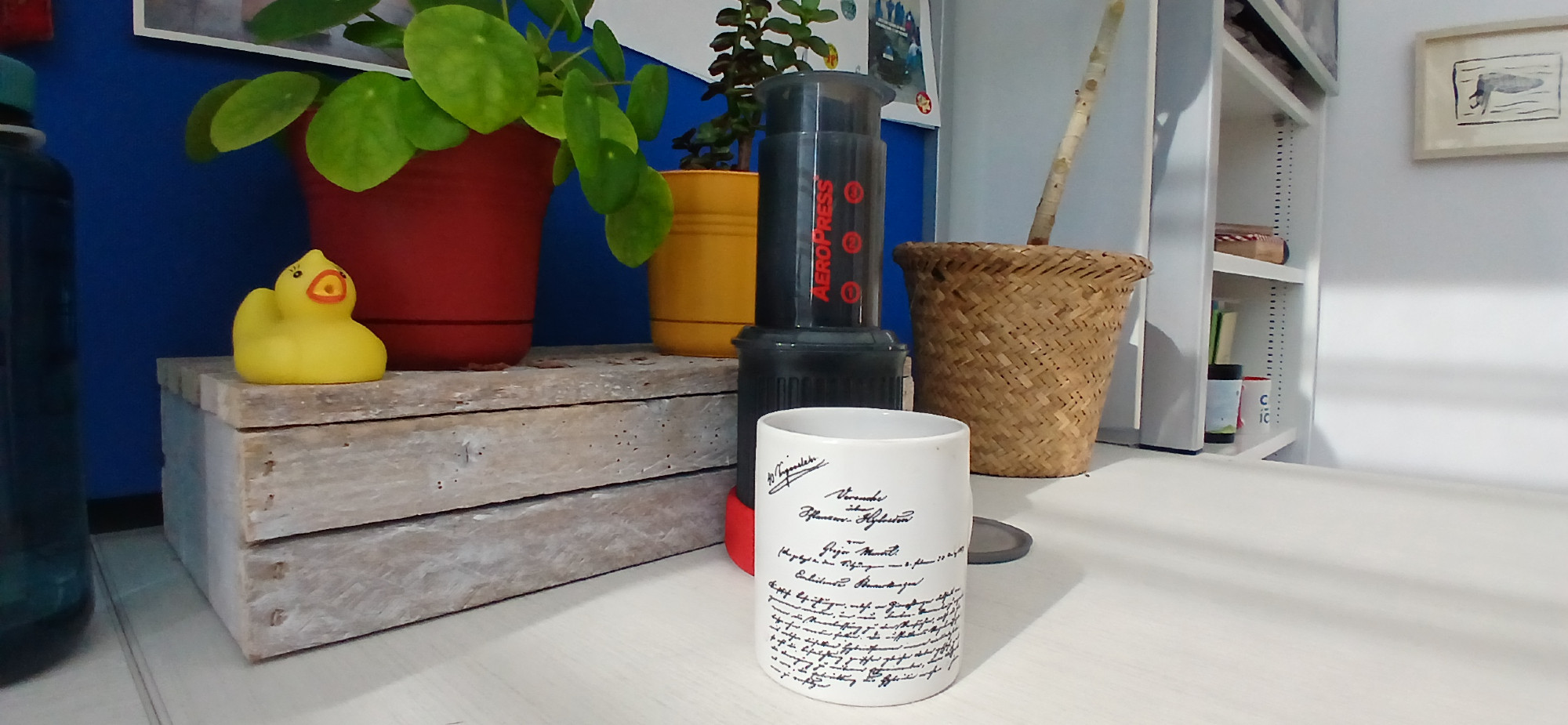 A photo of a ceramic mug with Mendel's paper on pea heredity printed on in, with an aeropress coffee maker in the background. Further back are two plants, and a rubber duck.