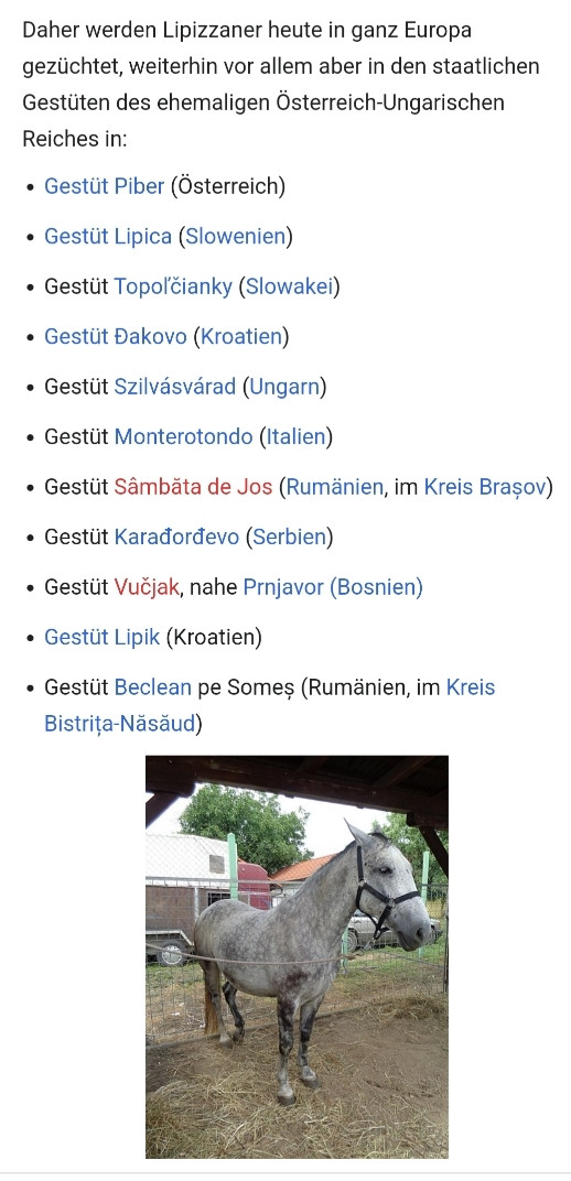 Daher werden Lipizzaner heute in ganz Europa gezüchtet, weiterhin vor allem aber in den staatlichen Gestüten des ehemaligen Österreich-Ungarischen Reiches in:

Gestüt Piber (Österreich)
Gestüt Lipica (Slowenien)
Gestüt Topoľčianky (Slowakei)
Gestüt Đakovo (Kroatien)
Gestüt Szilvásvárad (Ungarn)
Gestüt Monterotondo (Italien)
Gestüt Sâmbăta de Jos (Rumänien, im Kreis Brașov)
Gestüt Karađorđevo (Serbien)
Gestüt Vučjak, nahe Prnjavor (Bosnien)
Gestüt Lipik (Kroatien)
Gestüt Beclean pe Someș (Rumänien, im Kreis Bistrița-Năsăud)