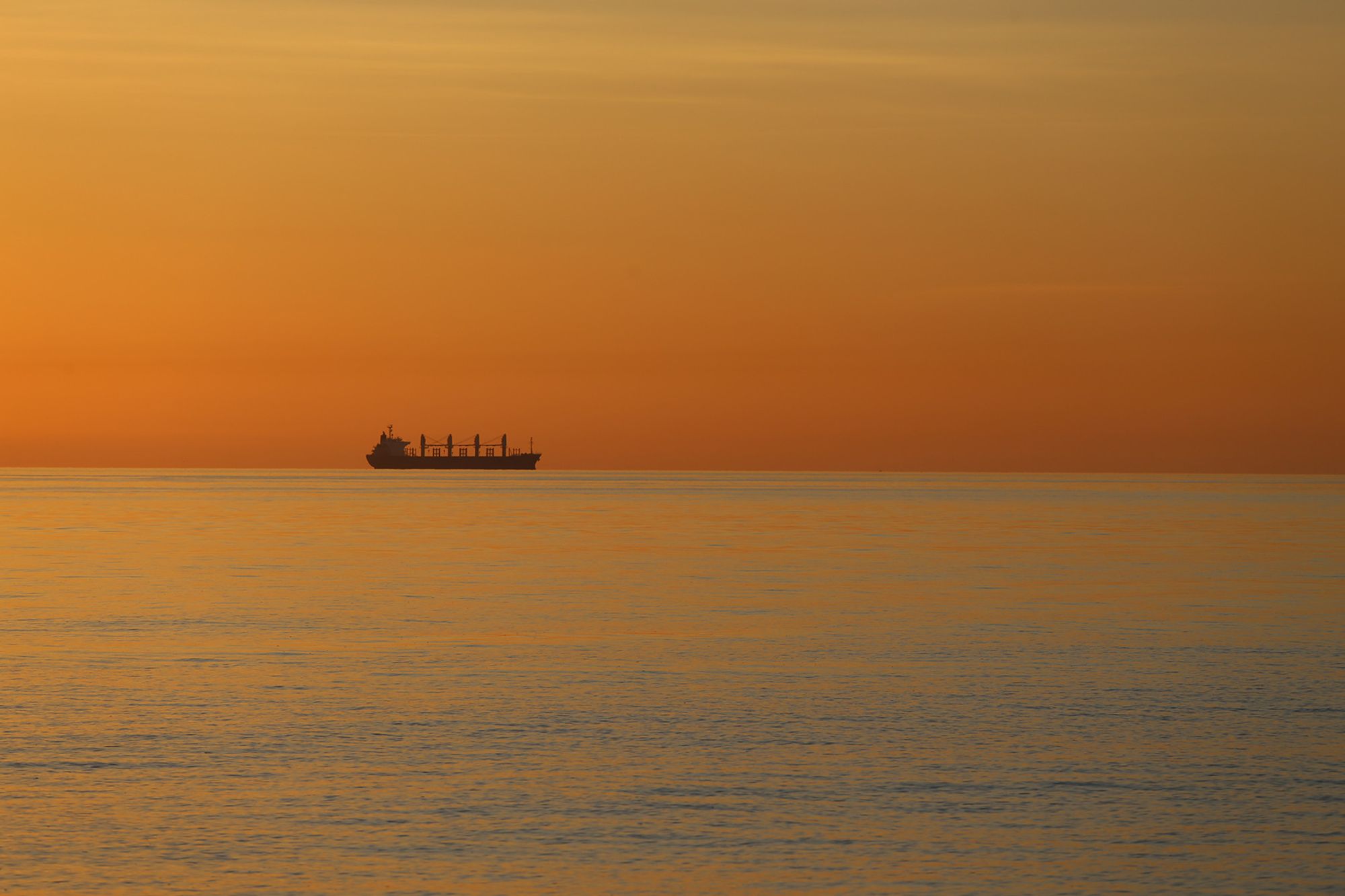 Die Ostsee zählt mit einer Erwärmung von mehr als 1 °C in den letzten dreieinhalb Jahrzehnten zu den sich am schnellsten erwärmenden Meeresregionen der Welt. Zusätzlich belasten dort nun vermehrt auftretende Meereshitzewellen die marinen Ökosysteme; im Sommer werden sie durch stabile Hochdruckwetterlagen über Skandinavien und damit verbundenem schwachen Wind begünstigt. (Foto: IOW / K. Beck)