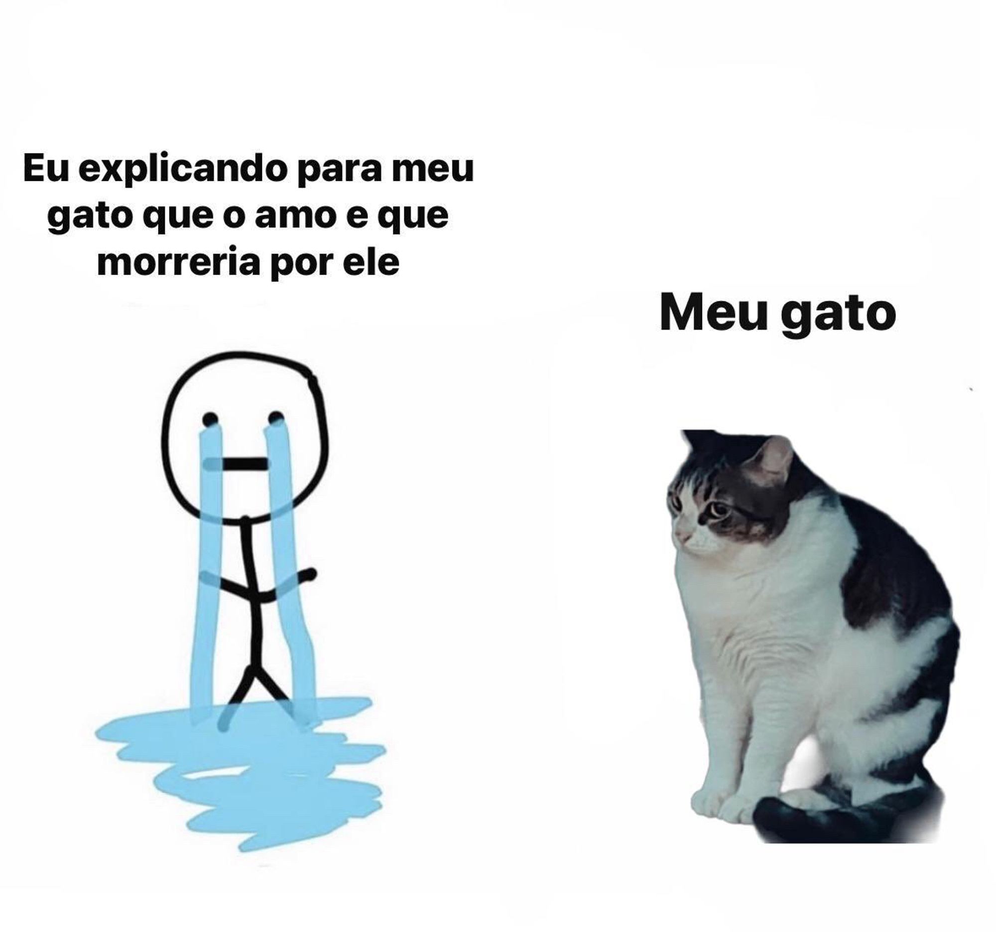 Meme onde um boneco desenhado está chorando e tem uma frase acima dele escrito “Eu explicando para meu gato que o amo e que morreria por ele” e na frente do desenho tem a gatinha chicória maria (sim aquela) sentada apenas vivendo a vida e acima dela está uma frase escrita “meu gato”.