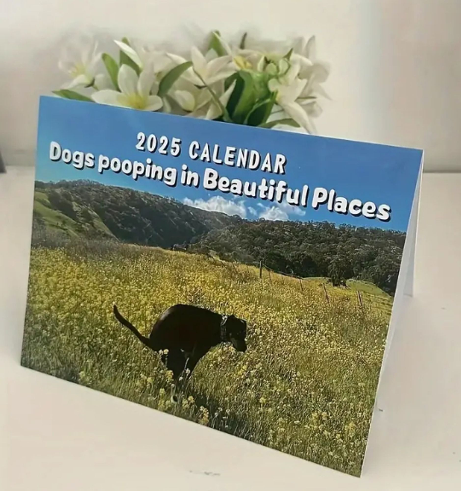 2025 Dogs Pooping in Beautiful Places Wall Calendar
Only £1.65 on Temu