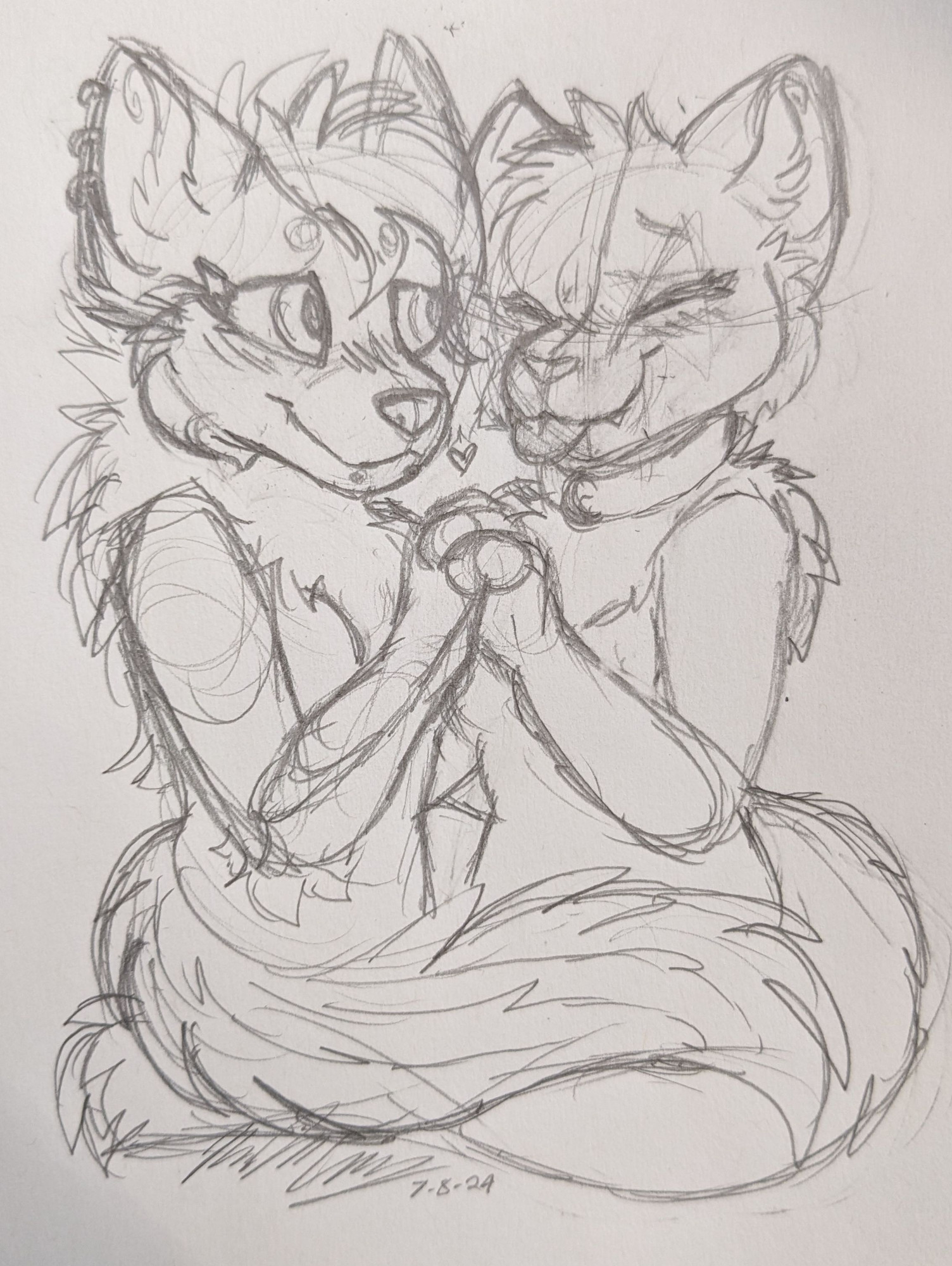 A sketch of Sierra the Maned wolf, and my sona Hana Kitty! They are holding hands and looking lovingly at each other.