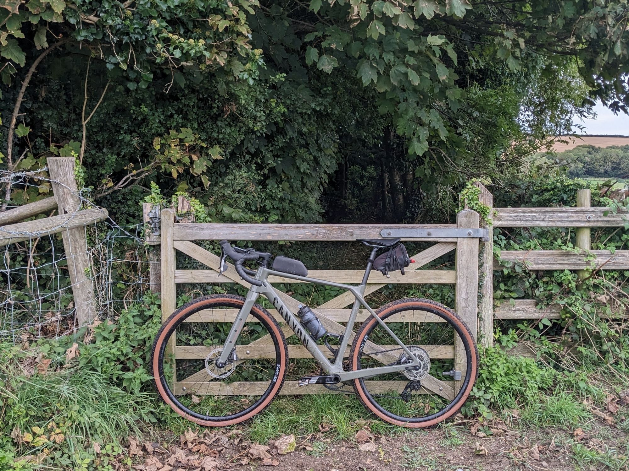 A green bike leaning on a gate. Behind the gate is a path leading into a forest