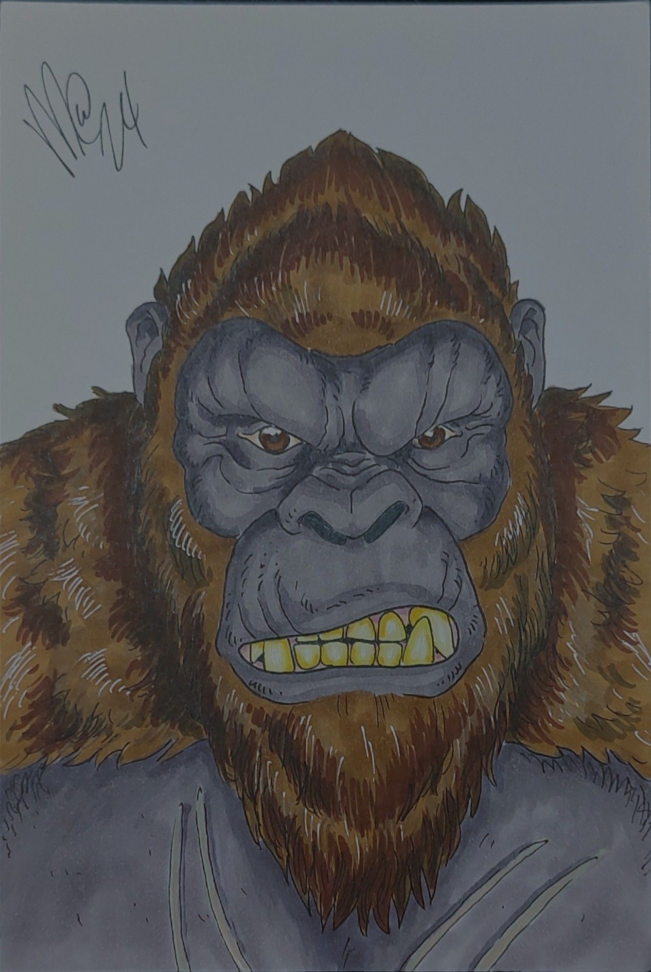 A head shot of King Kong.