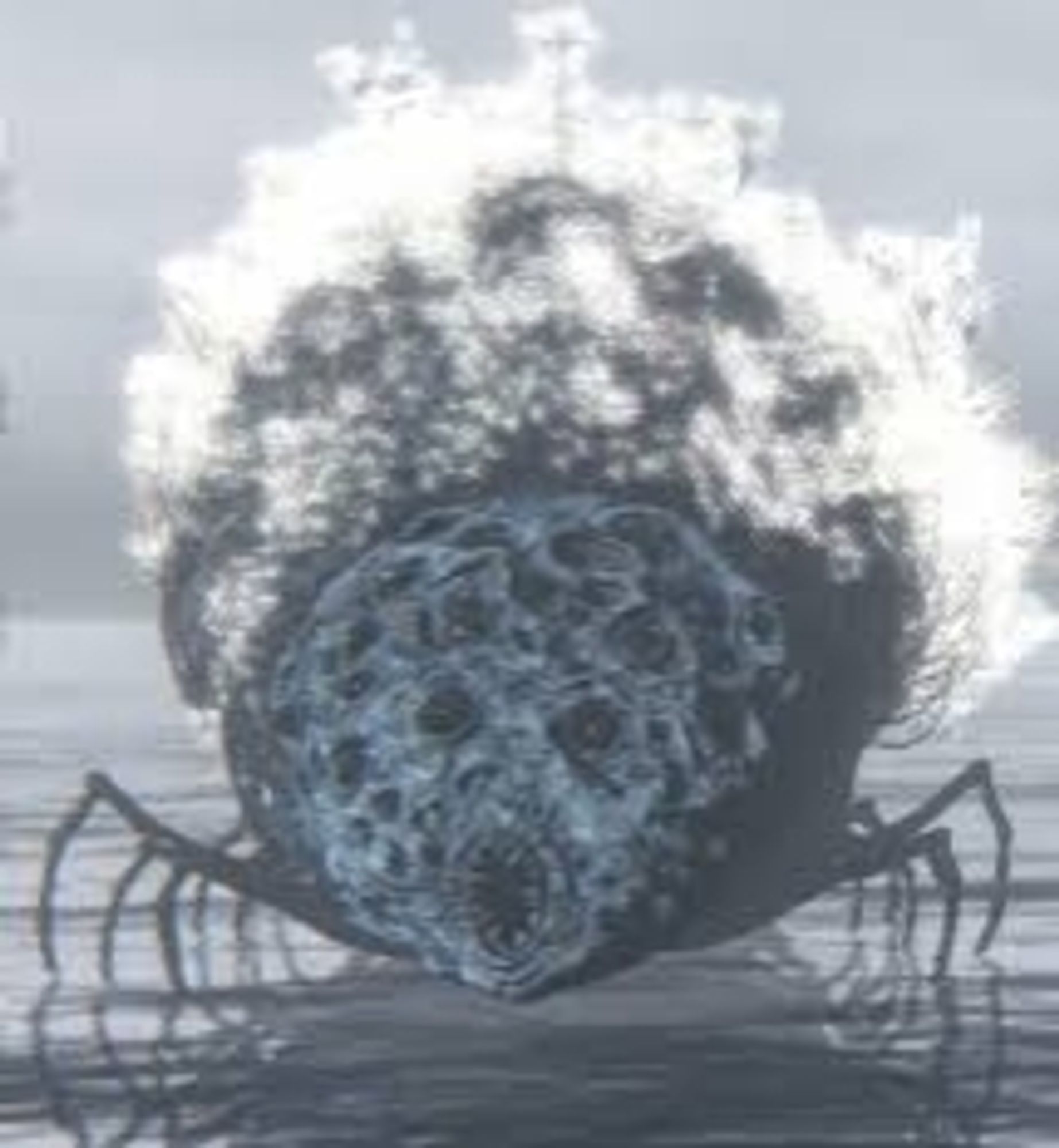 Rom, the vacuous spider