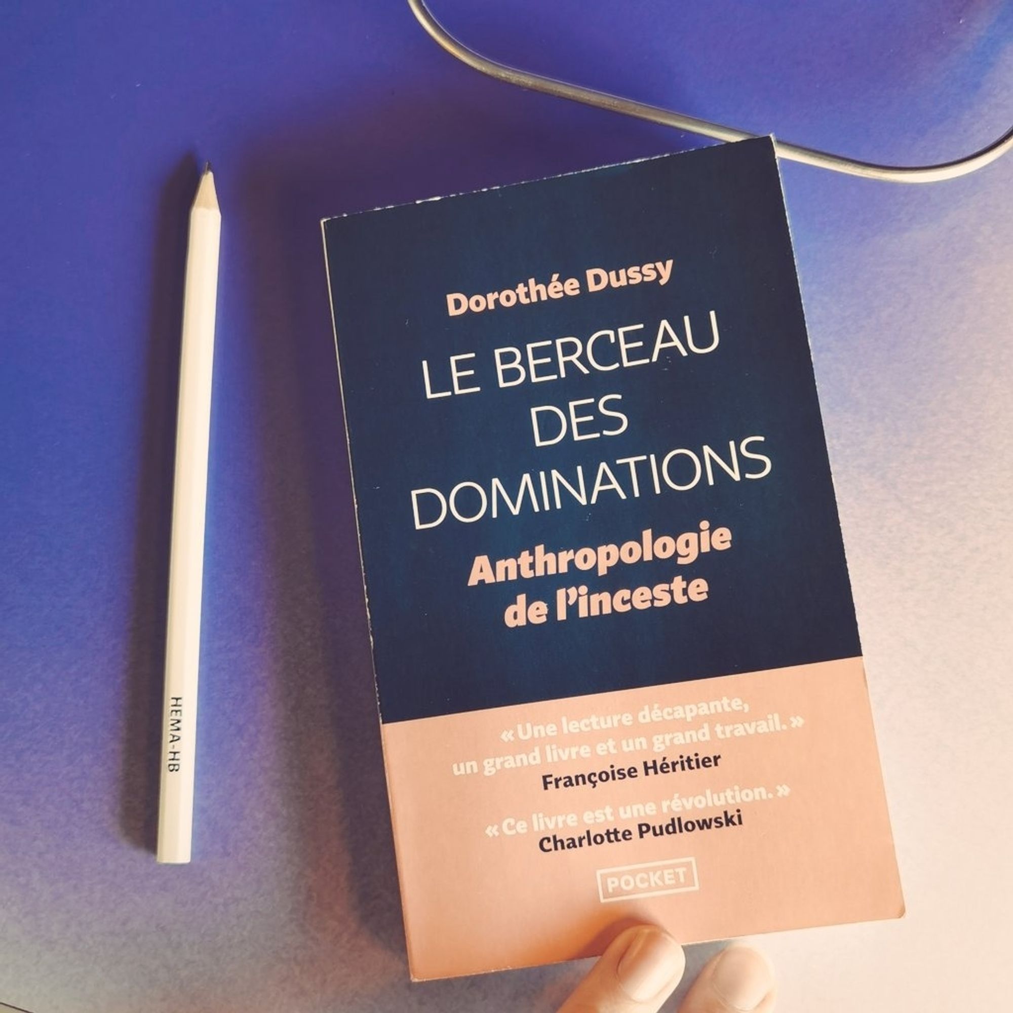 Photo du livre "Le Berceau des Dominations : anthropologie de l'inceste" par Dorothée Dussy". (Sur une tablette de vieux train SNCF j'ai été coincée 5 heures dans mon TGV)