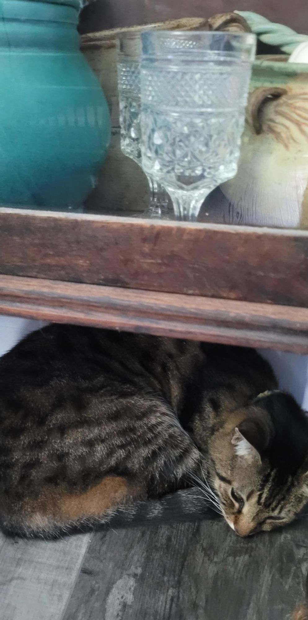 Tabby cat Murphy hiding under china cabinet at the start of winds from the storm