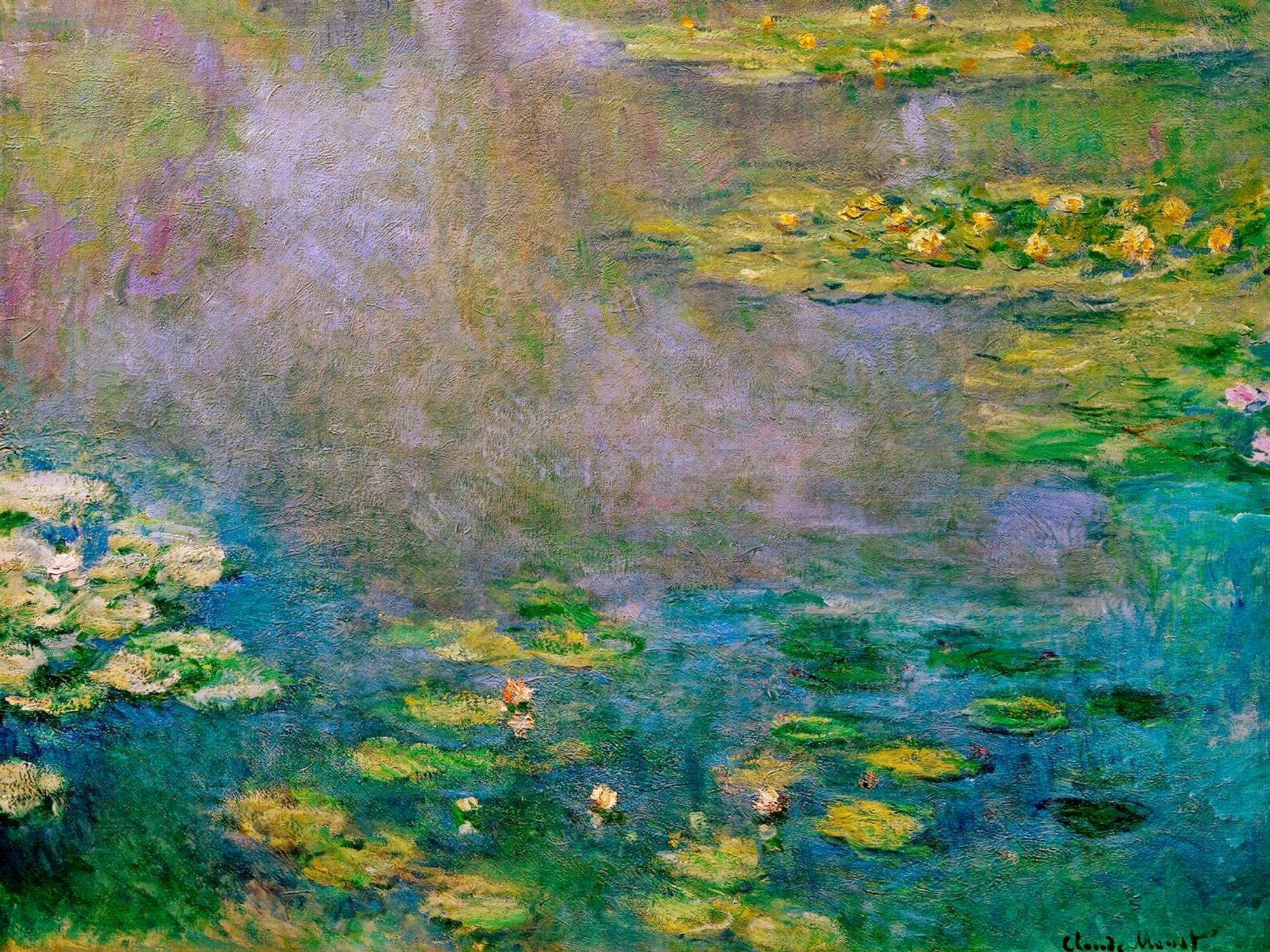 Water Lilies