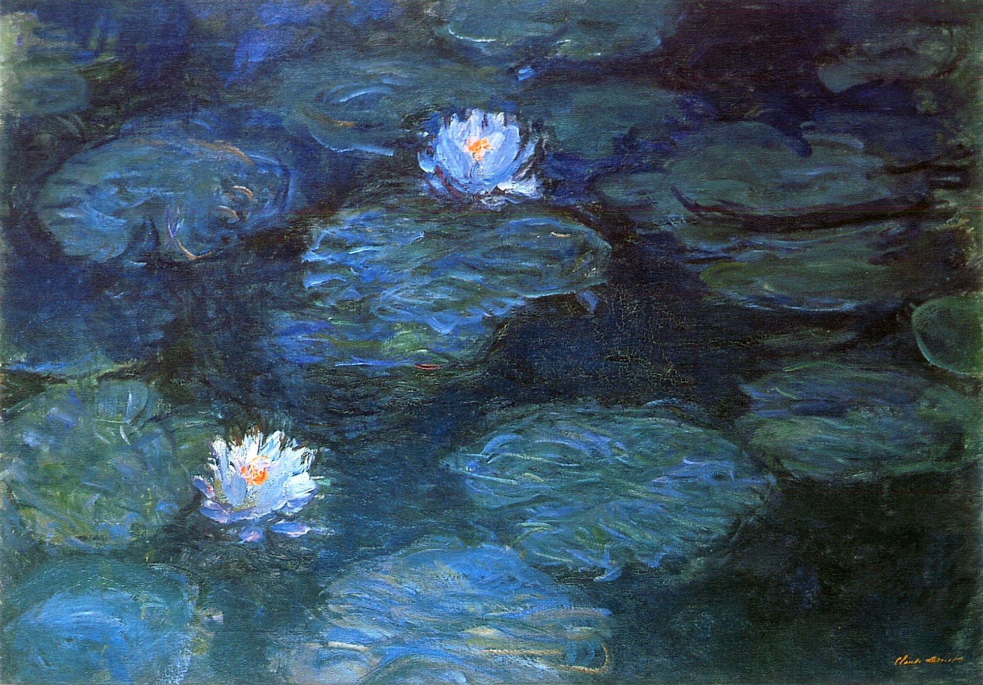 Water Lilies