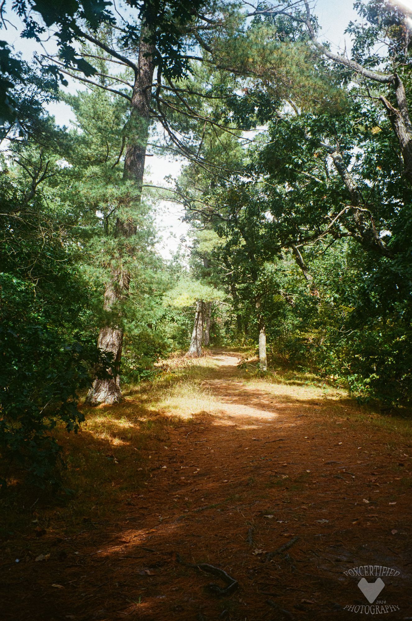 Rock Bridge top path.