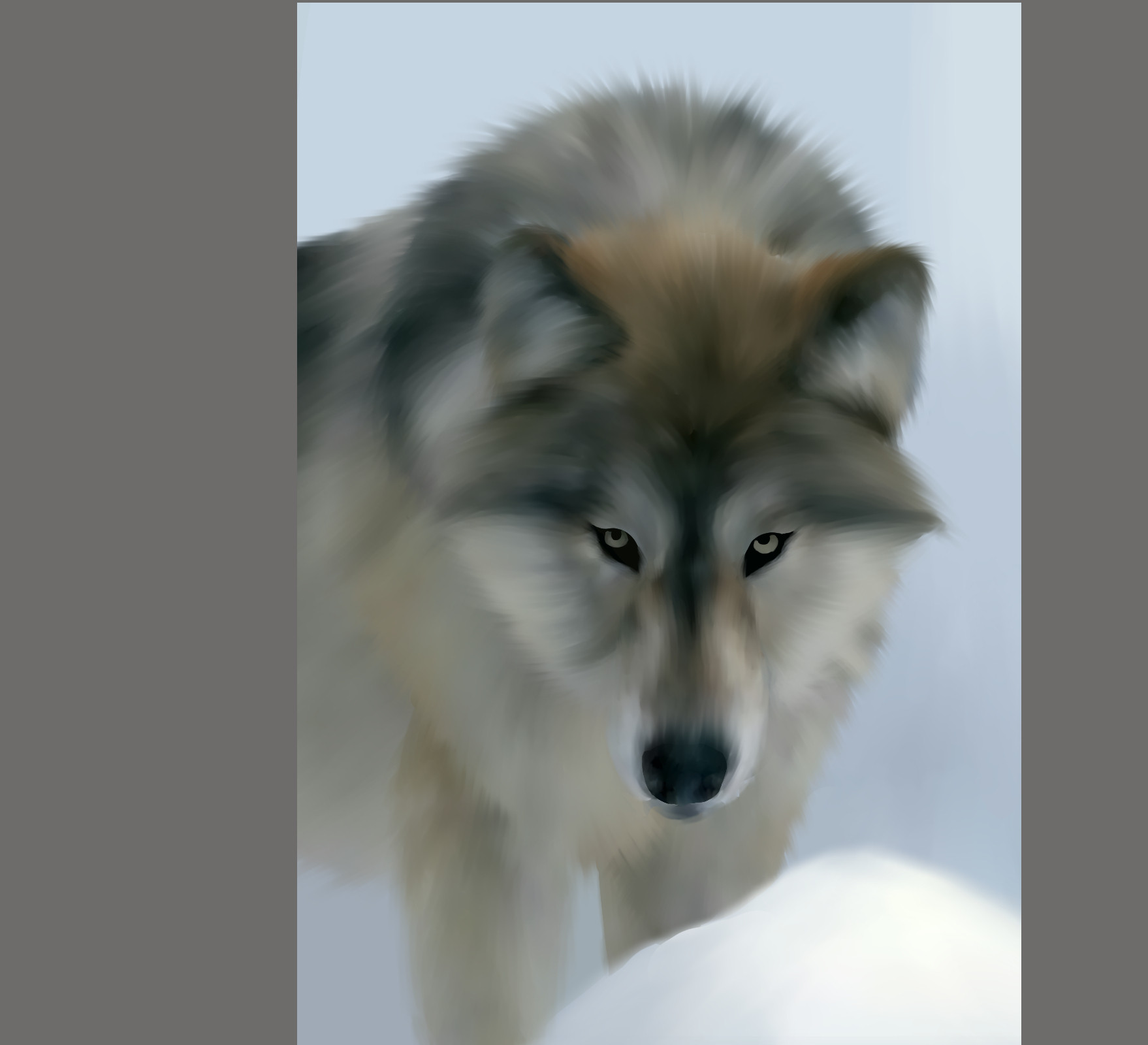 A semirealistic digital drawing of a wolf in the snow