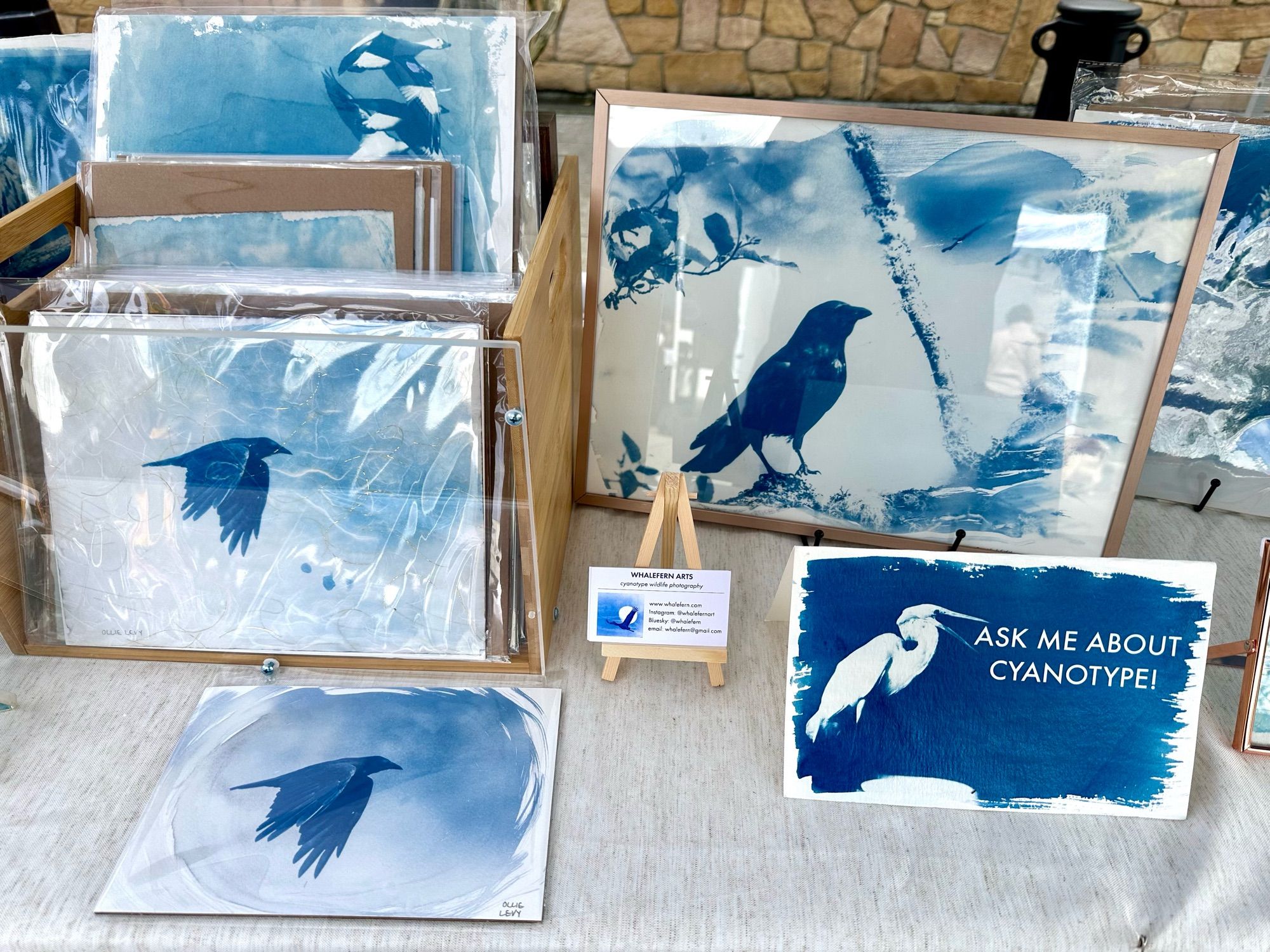 Three blue-toned prints of crows, and one print of an egret with its beak open, captioned “ask me about cyanotype!”