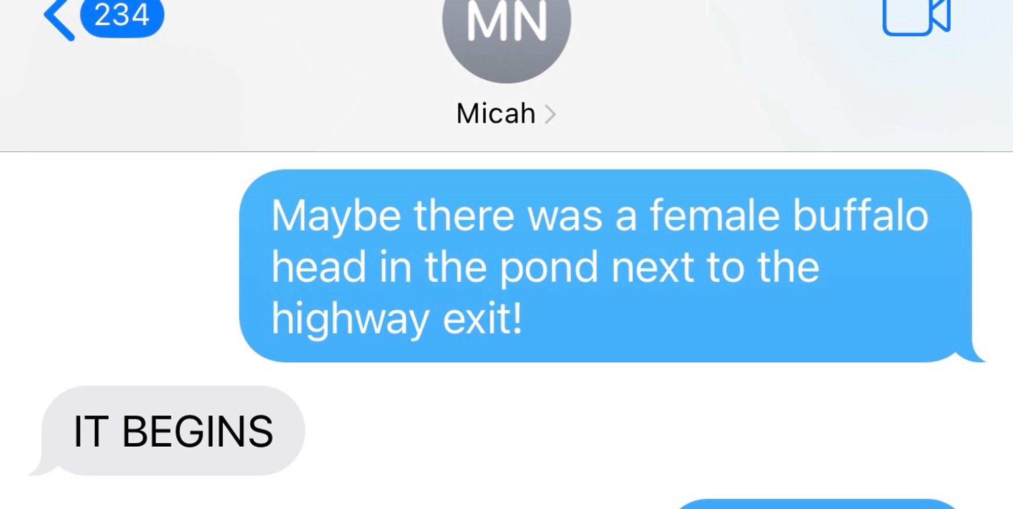 text message bubble that reads, “Maybe there was a female buffalo head in the pond next to the highway exit!”