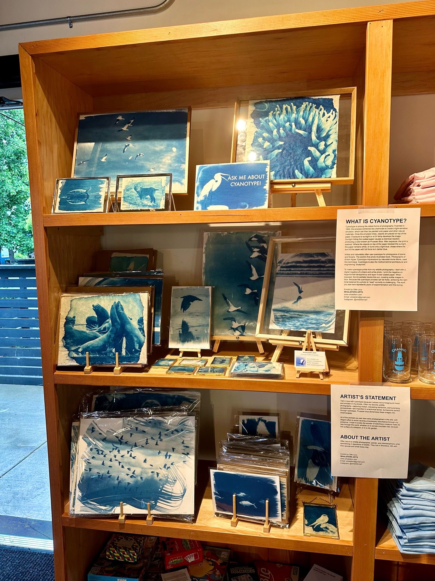 Three shelves of blue-toned cyanotype prints of animals