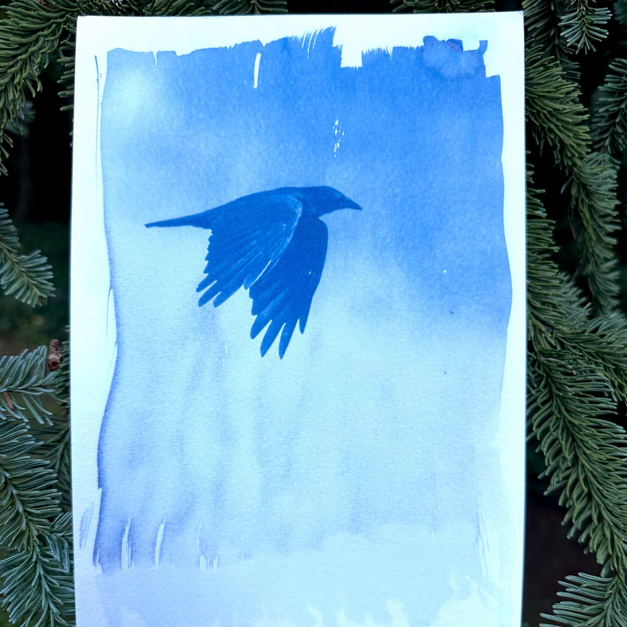 Blue-toned print of a crow in flight, with a soft white cloud