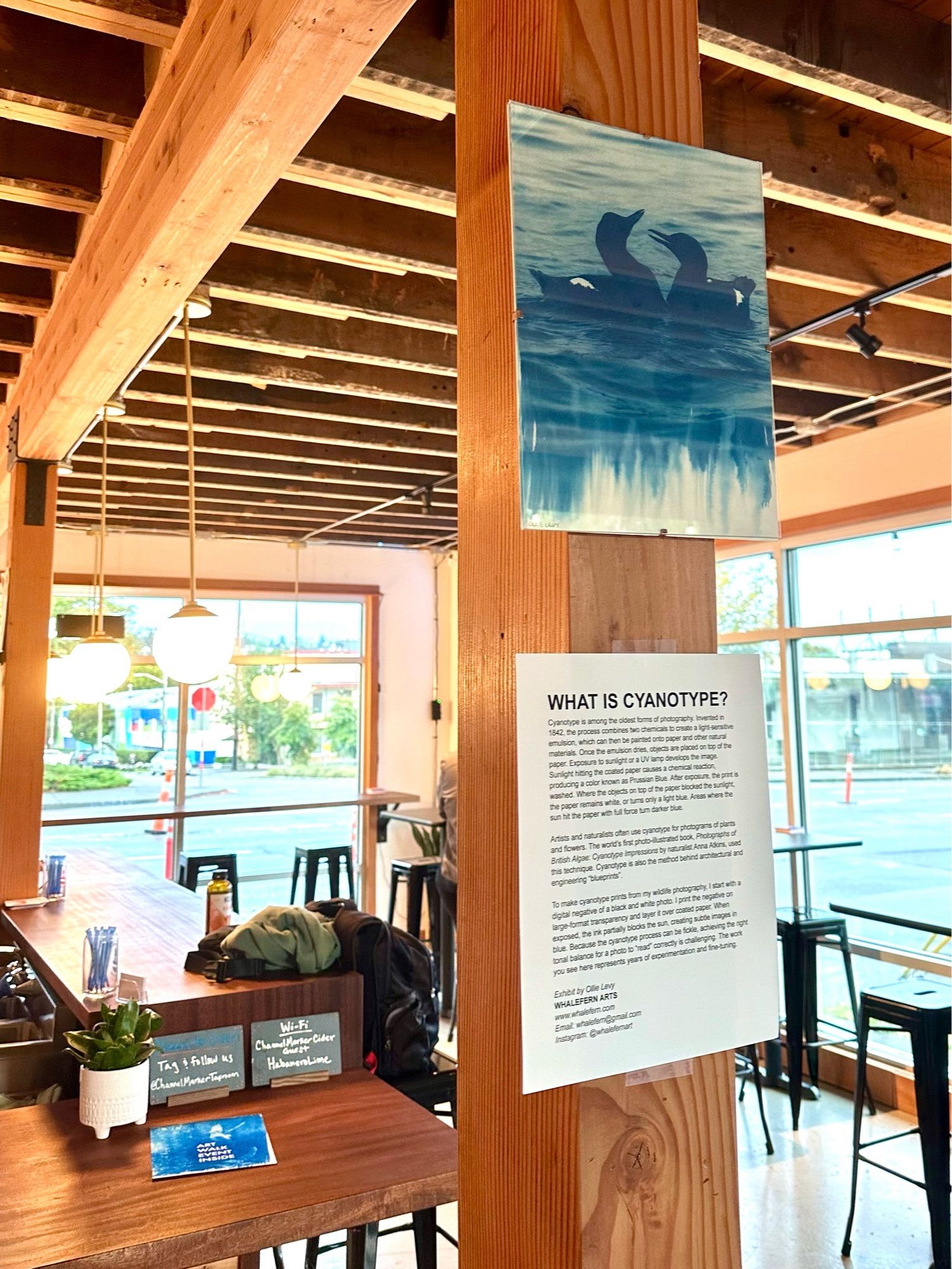 A blue print of two guillemots swimming in the sea. The print is hanging on a wooden post inside a large airy bar taproom.