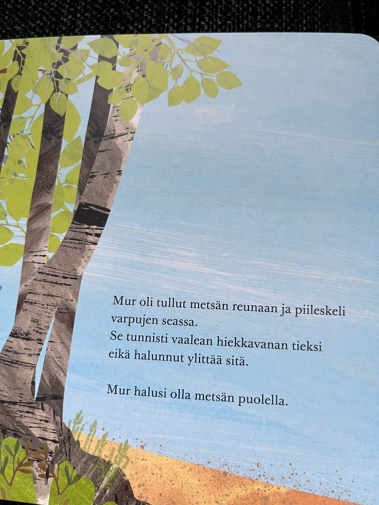 Mur oli tullut metsän reunaan ja piileskeli varpujen seassa.
Se tunnisti vaalean hiekkavanan tieksi eikä halunnut ylittää sitä.

Mur halusi olla metsän puolella.