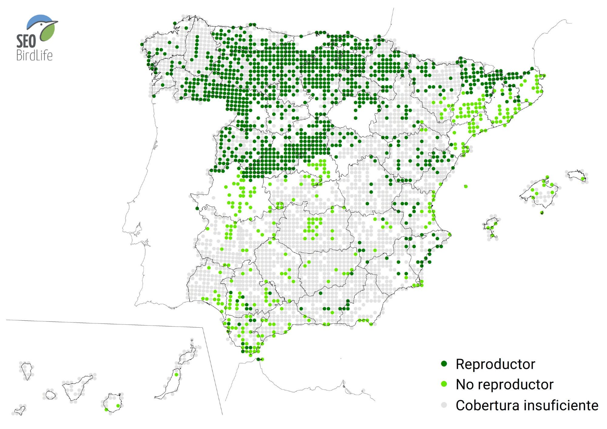 Mapa esquemático con la distribución observada en el «III Atlas (2014-2018) de aves reproductoras» de SEO Birdlife. Fuente: atlasaves.seo.org, de @SEO_BirdLife.