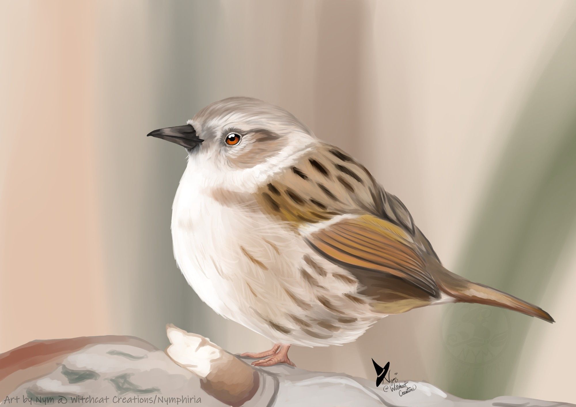 a digital speedpaint of a dunnock