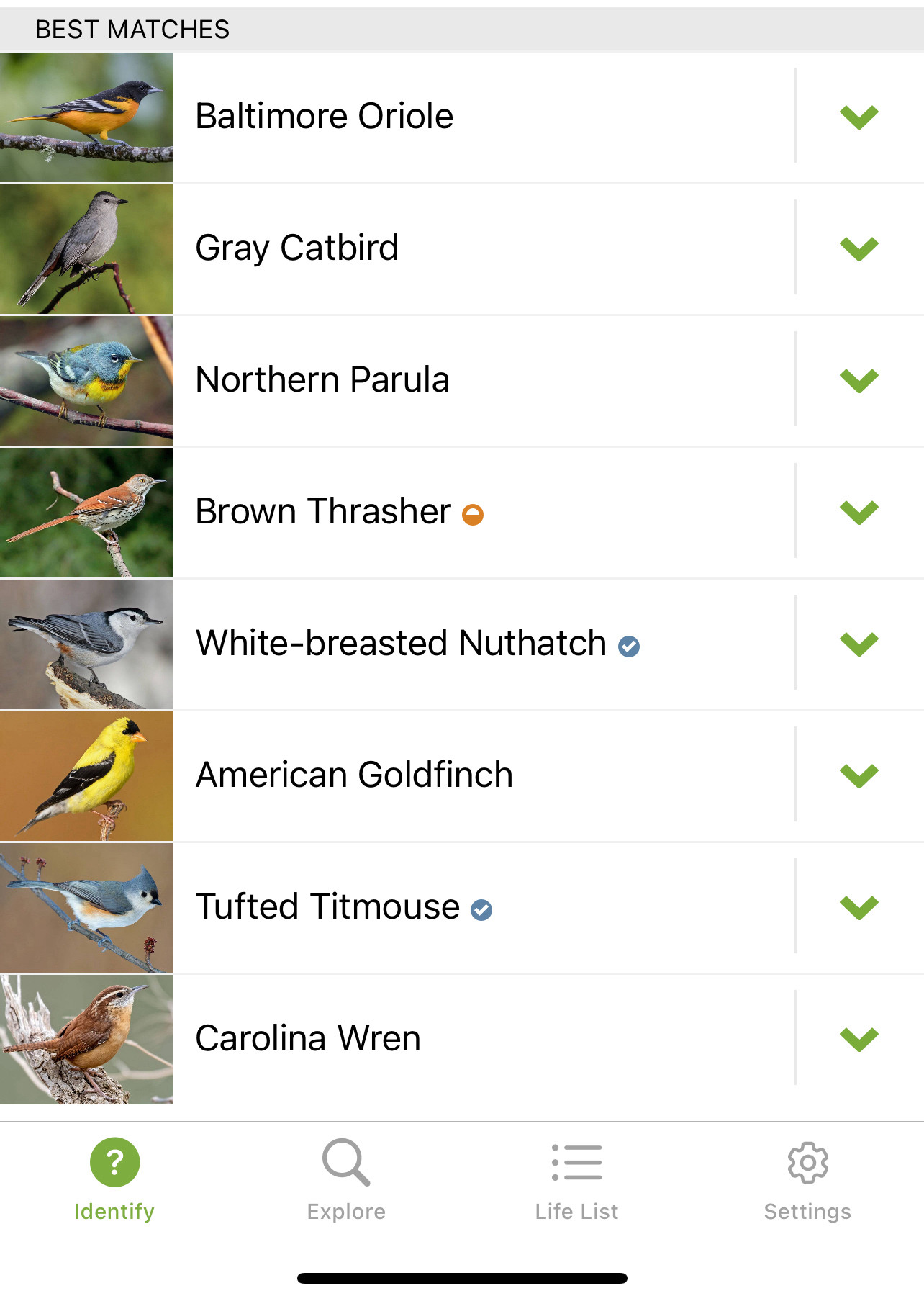 A list of birds and their photos. Baltimore oriole, gray catbird, northern parula, brown thrasher, white-breasted nuthatch, American goldfinch, tufted titmouse, and Carolina wren.