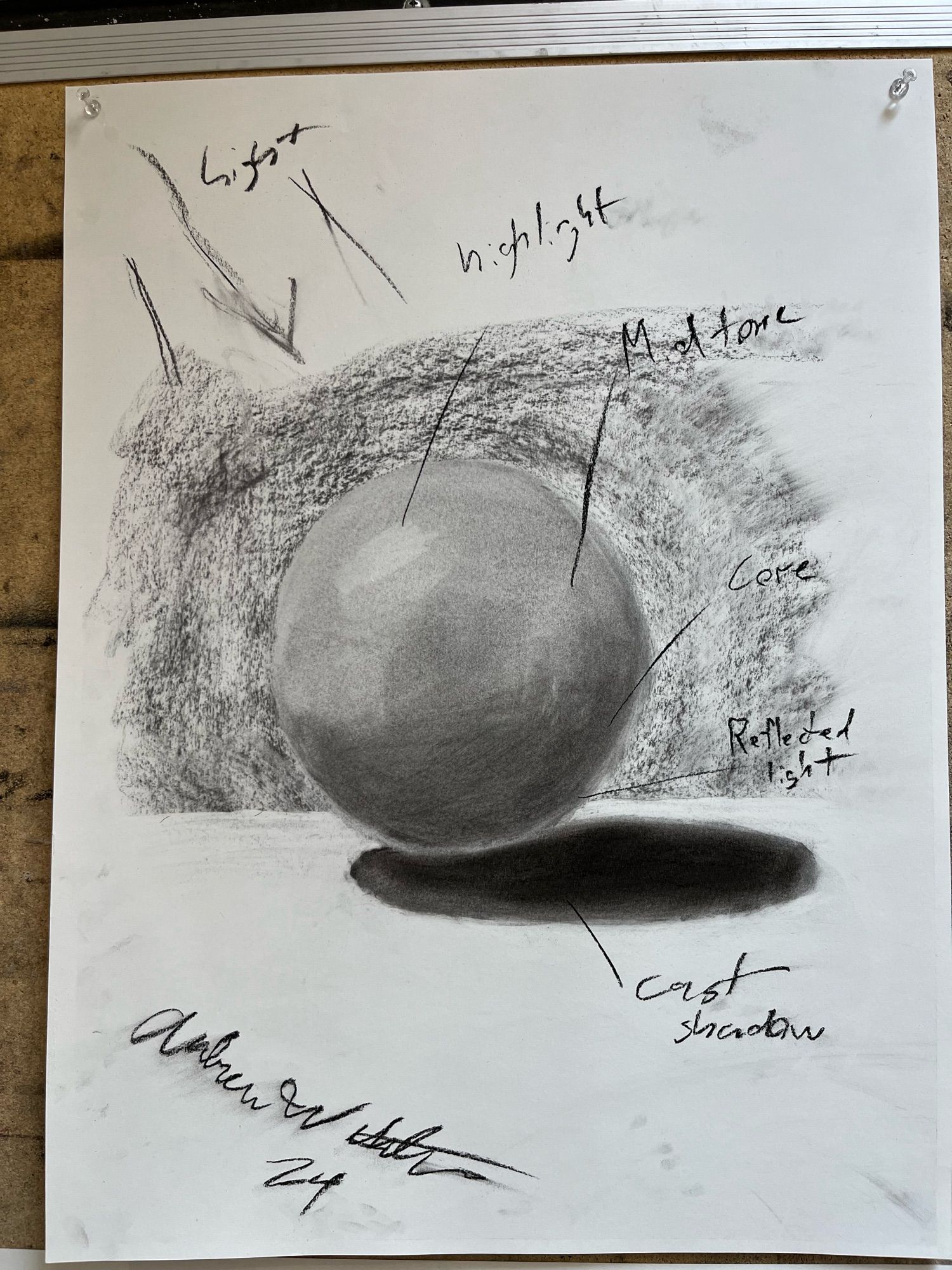 A charcoal shaded sphere demonstrating the six parts of shading, highlight, transition mid tones, core shadow, reflected light, and cast shadow.