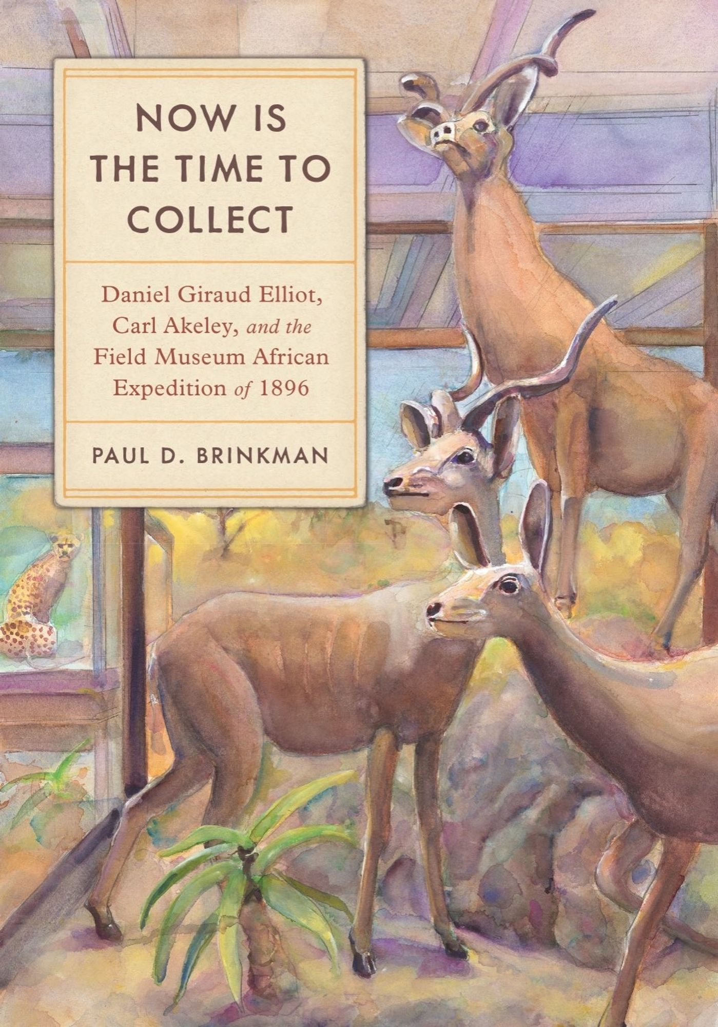 Cover of new book "Now is the Time to Collect" by Paul D. Brinkman, shows title alongsdie watercolor of antelope in a diorama.