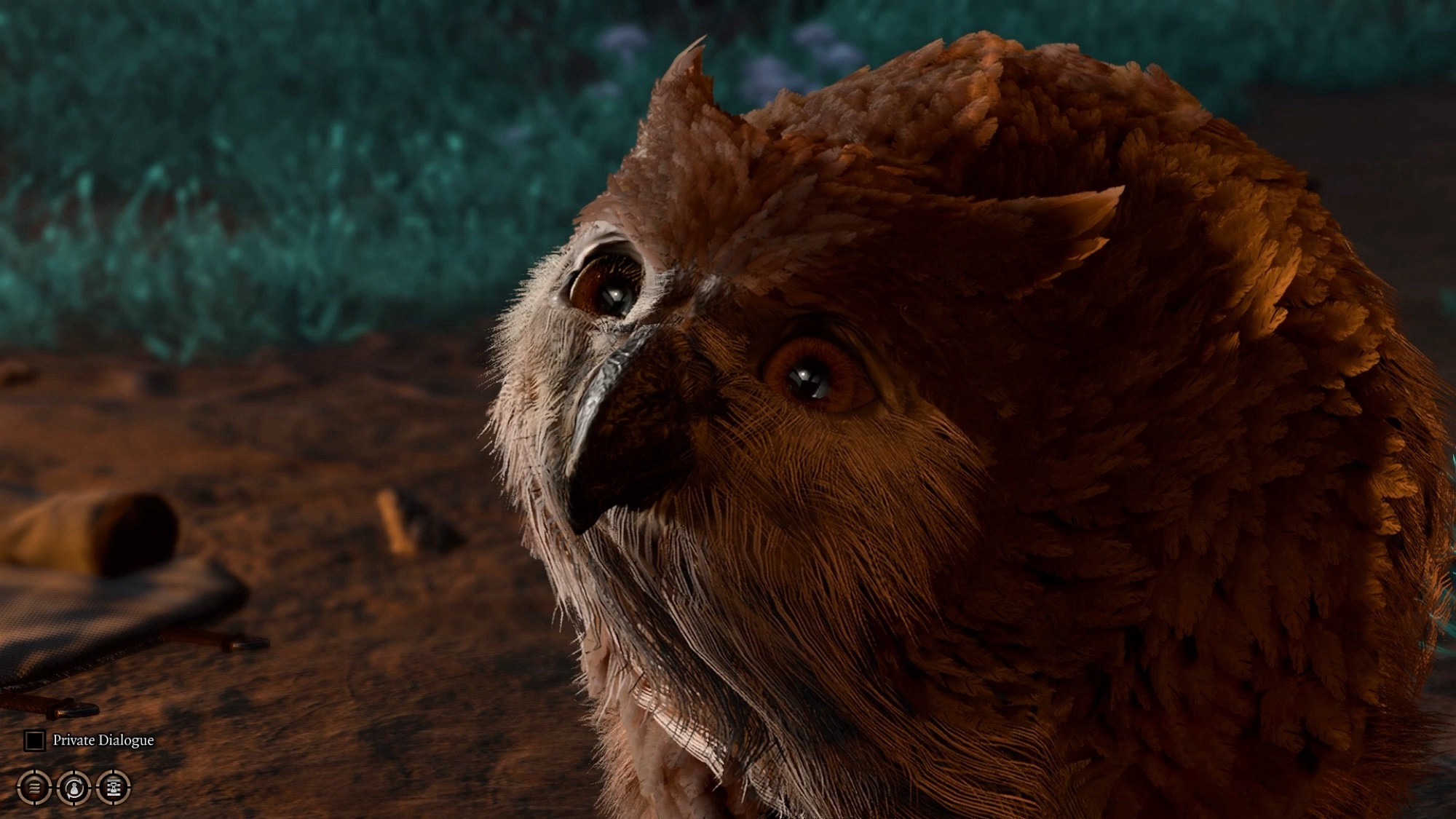 Owlbear cub from baldurs gate 3