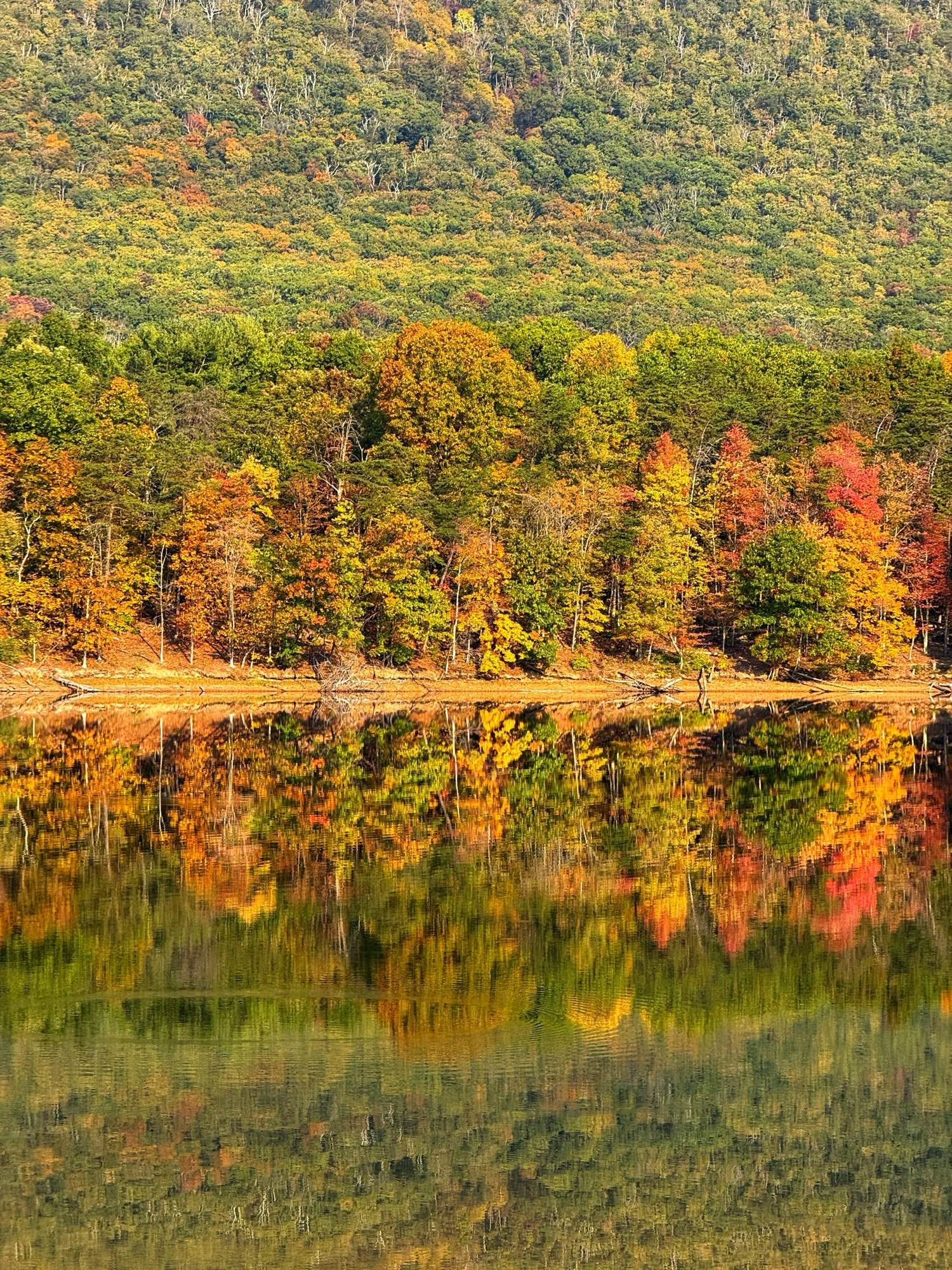 An autumn landscape with a dense forest of trees in various shades of green, orange, yellow, and red. The trees are reflected in the calm, glassy surface of a lake in the foreground, creating a mirrored effect. The forest covers the base of a mountain, filling the entire background.