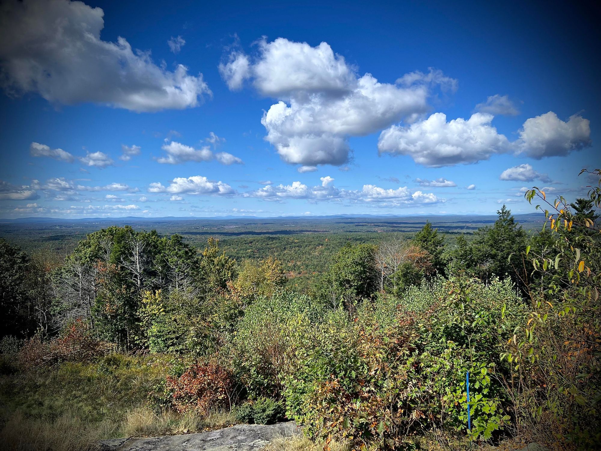 A vast landscape view from a hilltop with green trees in the foreground and rolling hills extending into the distance. The sky is clear blue with scattered, puffy white clouds.