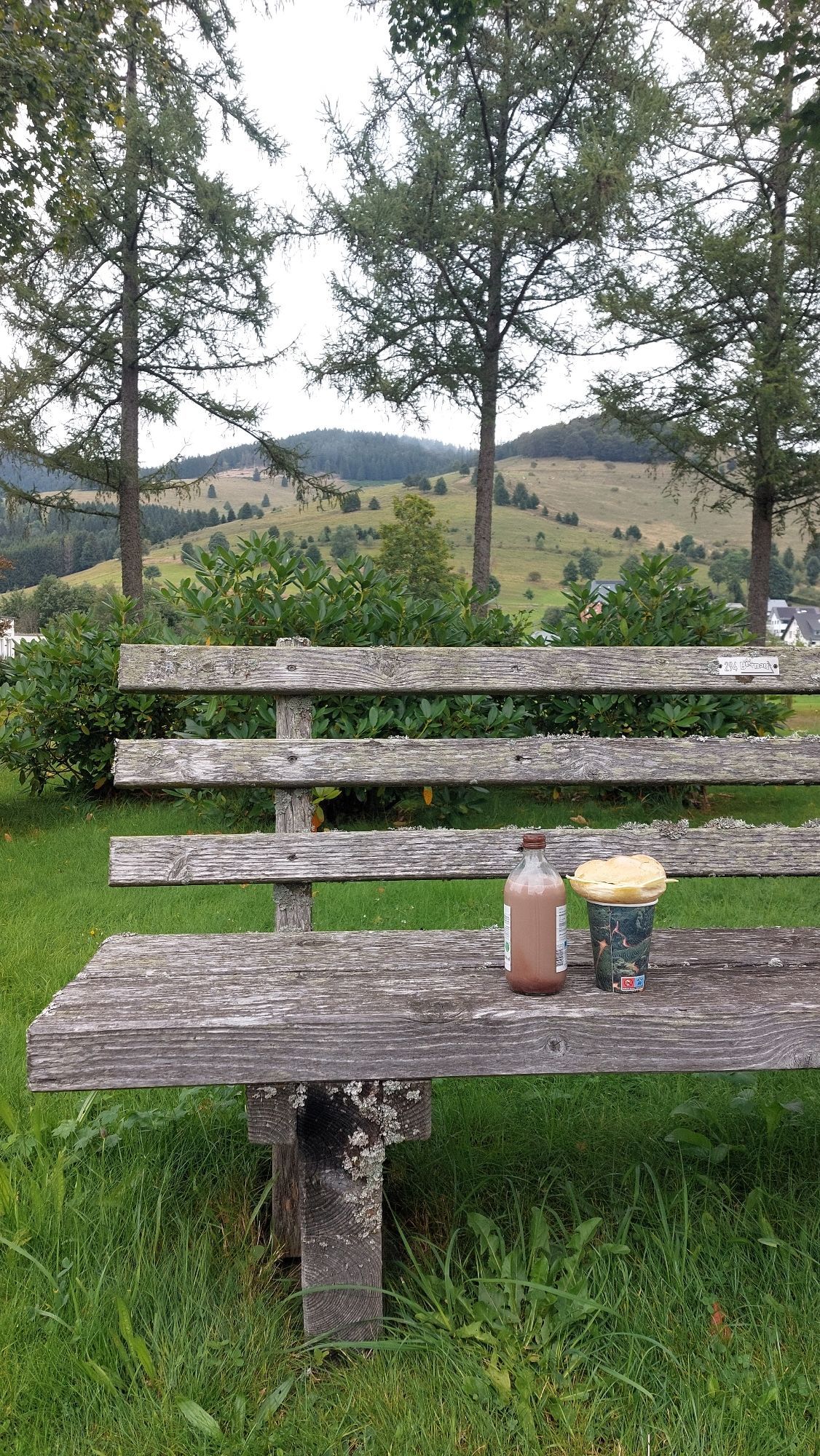 Zeigt eine verwitterte Parkbank, auf der ein Vesper steht. Im Hintergrund Ausblick in den Hochschwarzwald.