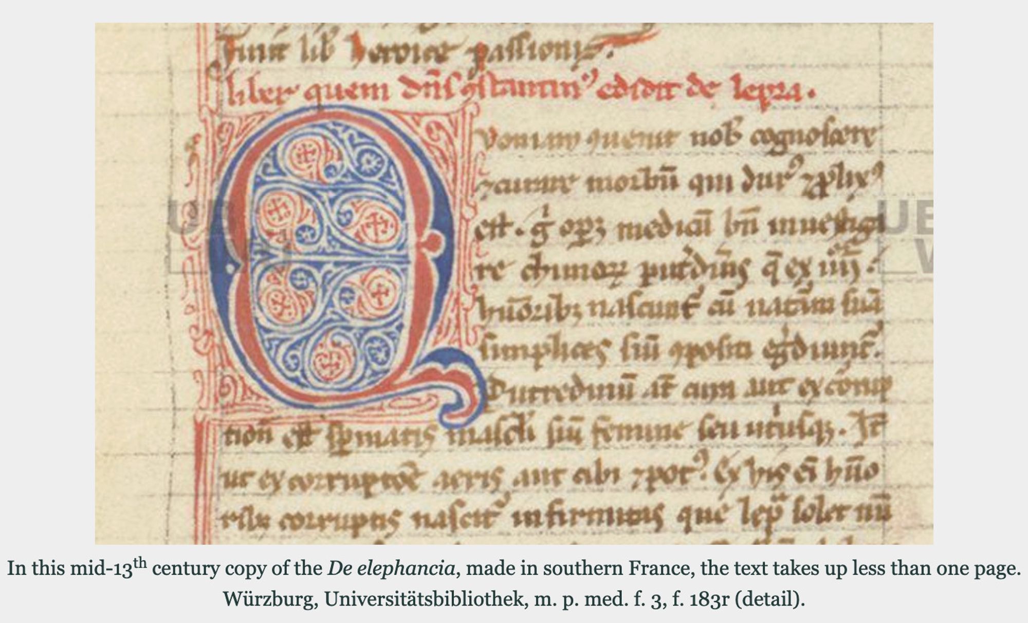 Photo of the opening of the text of Constantine the African’s De elephancia (On Leprosy), showing a handwritten manuscript page and a large initial letter ‘Q’ with filigree in red and blue ink. The rubric (red lettering) reads: "Liber quem Dominus Constantinus edidit de lepra" (The Book Which Lord Constantine Edited on Leprosy). Source: Würzburg, Universitätsbibliothek, m. p. med. f. 3, f. 183r (detail).