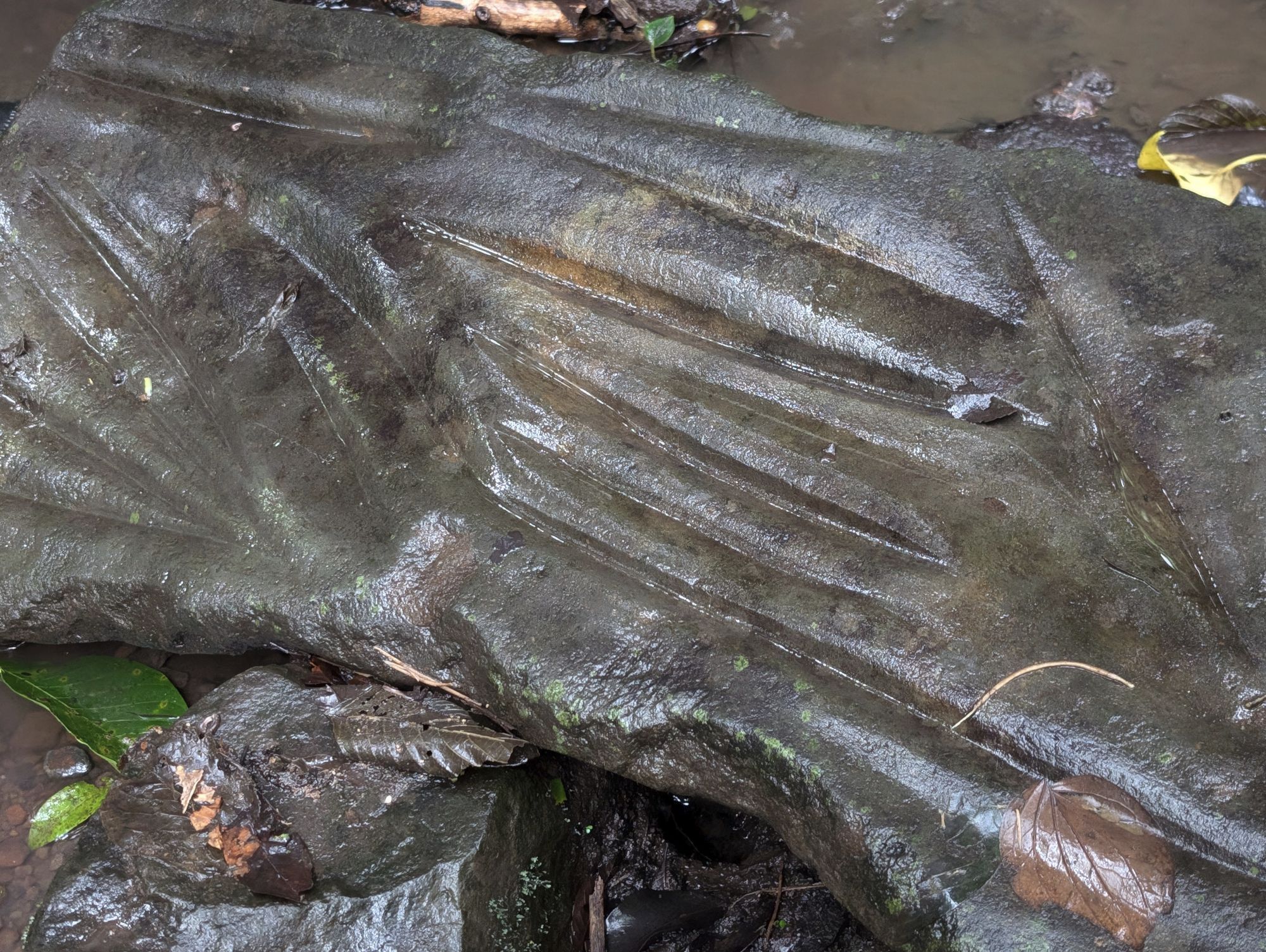 A close-up of an ancient stone carving, partially covered by water and moss, with lines etched into its surface, blending with the natural surroundings.