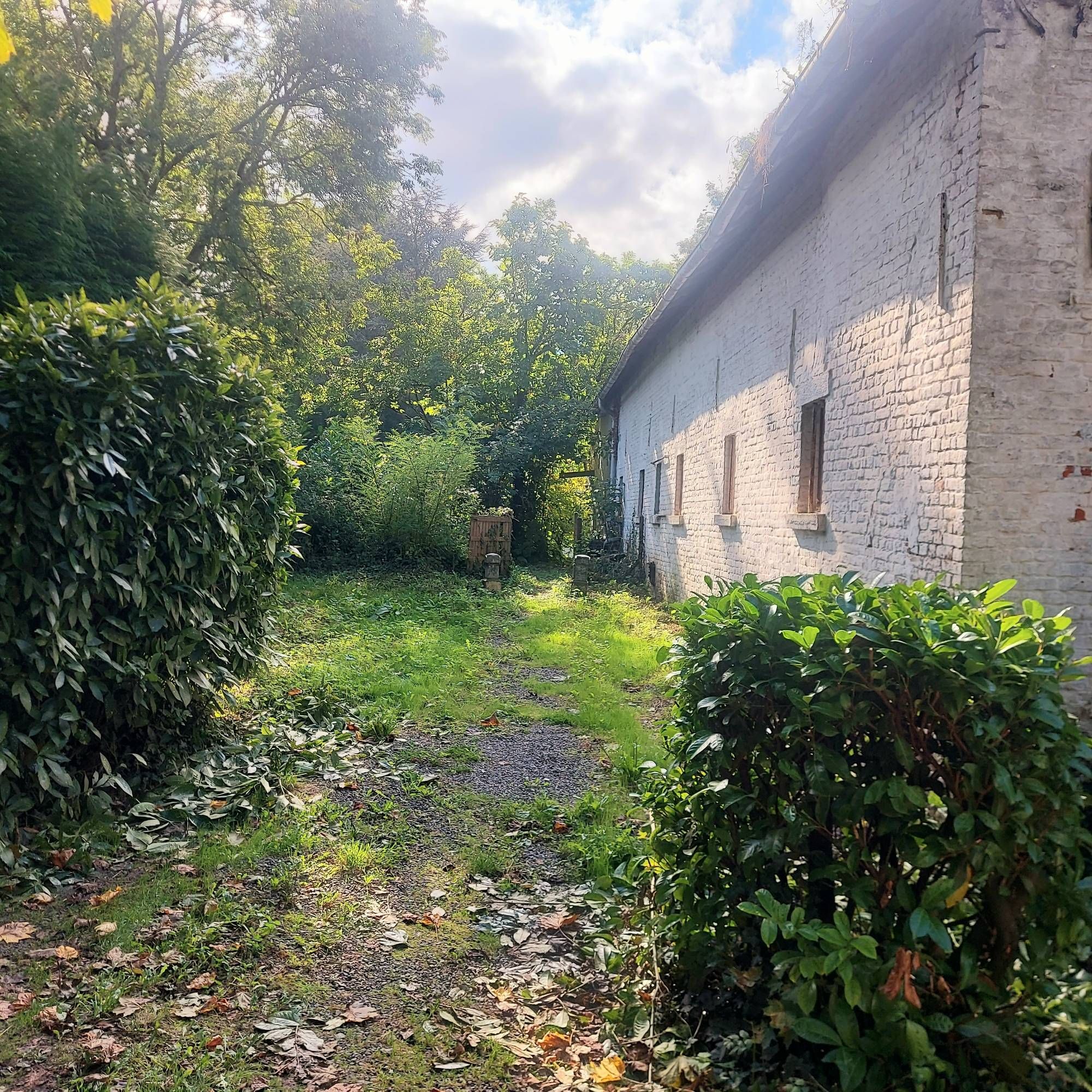 Oude boerderij met paadje naar het achtererf