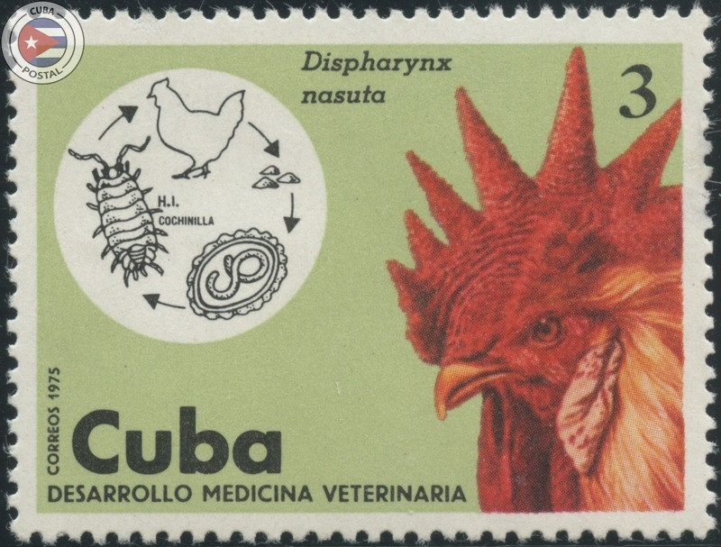 Cuban veterinary medicine postage stamp with a rooster and a diagram of the parasite lifecycle