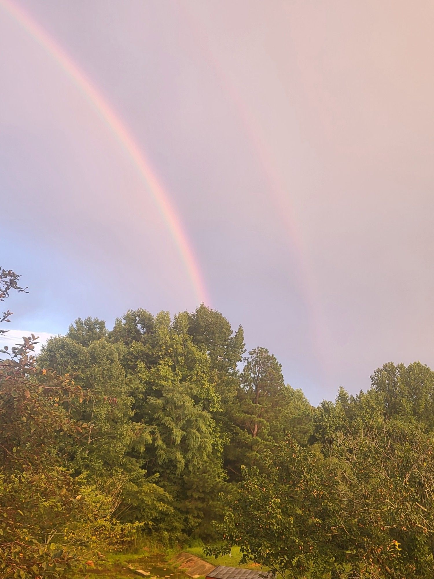 Nearly full rainbow, with a partial 2nd rainbow to the right. Trees are in the lower third of the picture.