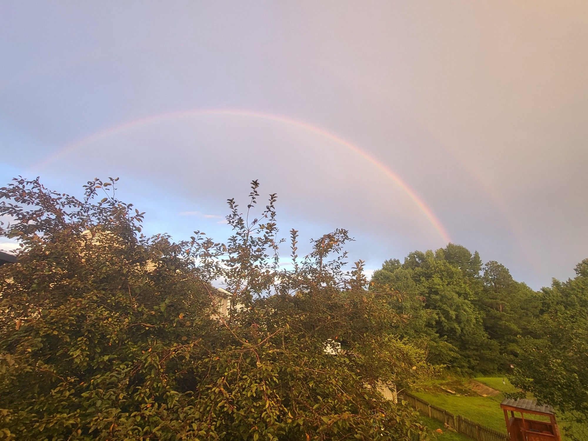 Nearly full rainbow, with a partial 2nd rainbow to the right. The top of a chokecherry tree is in the lower left.