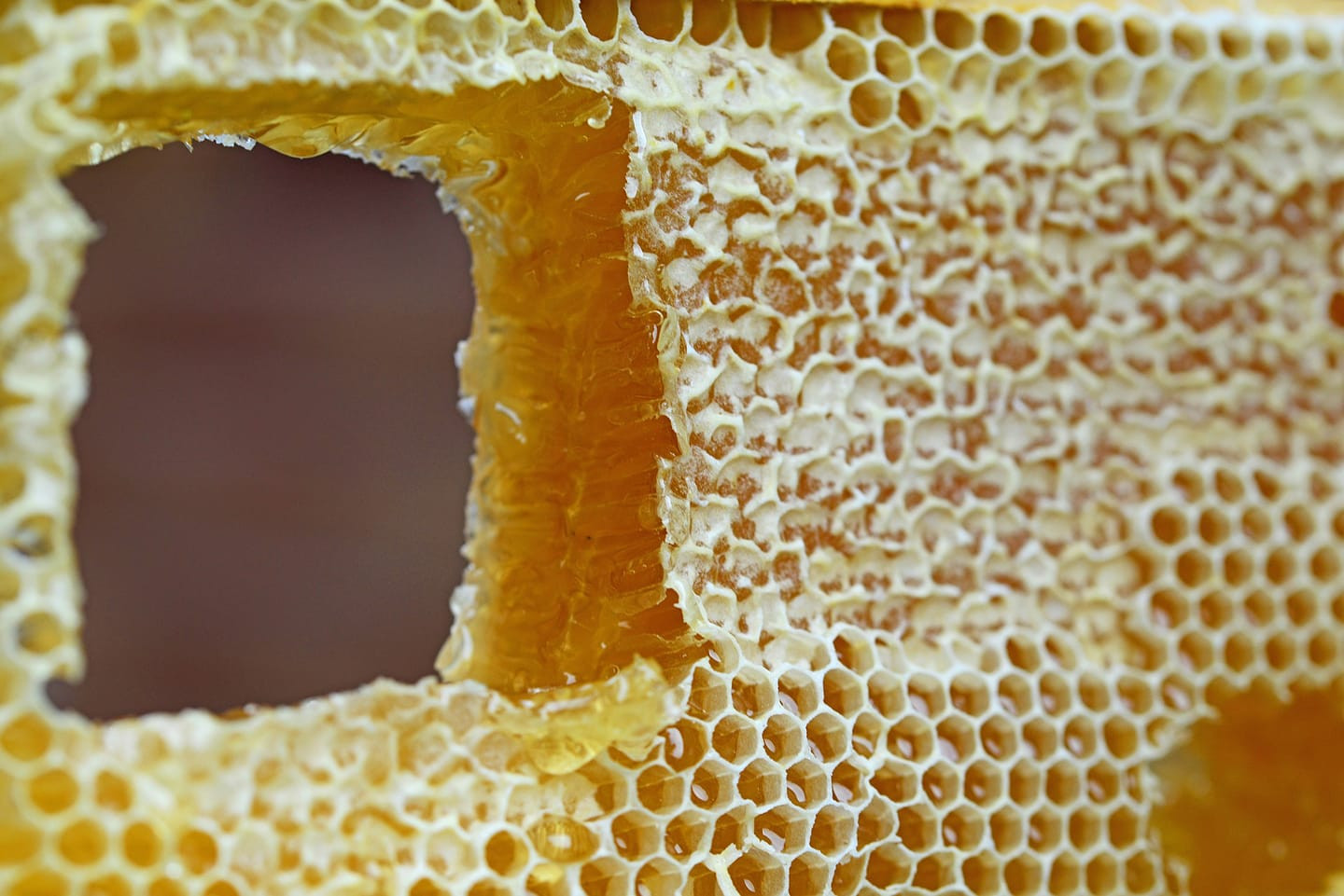 Dripping honeycomb