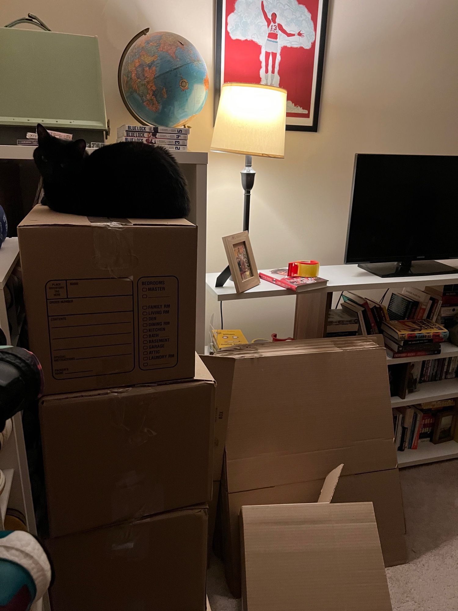 Black cat sitting on top of 4 moving boxes piled high