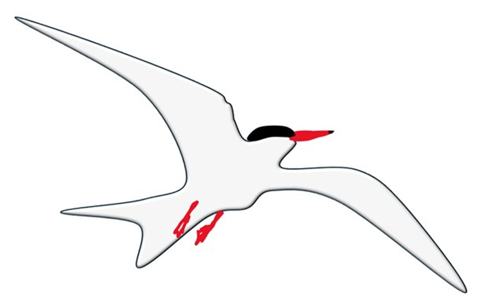 A drawing of a flying bird