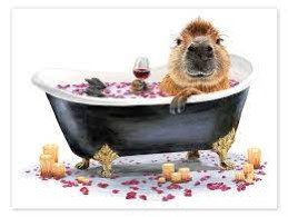 A Capybara photoshopped into a bathtub with candles and rose petals around it, smugly enjoying a glass of red wine.

The photoshop fails to capture the true spirit of capybaras, like trying to take a picture of the moon with an average phone's camera. Nevertheless, it is a humorous approximation.