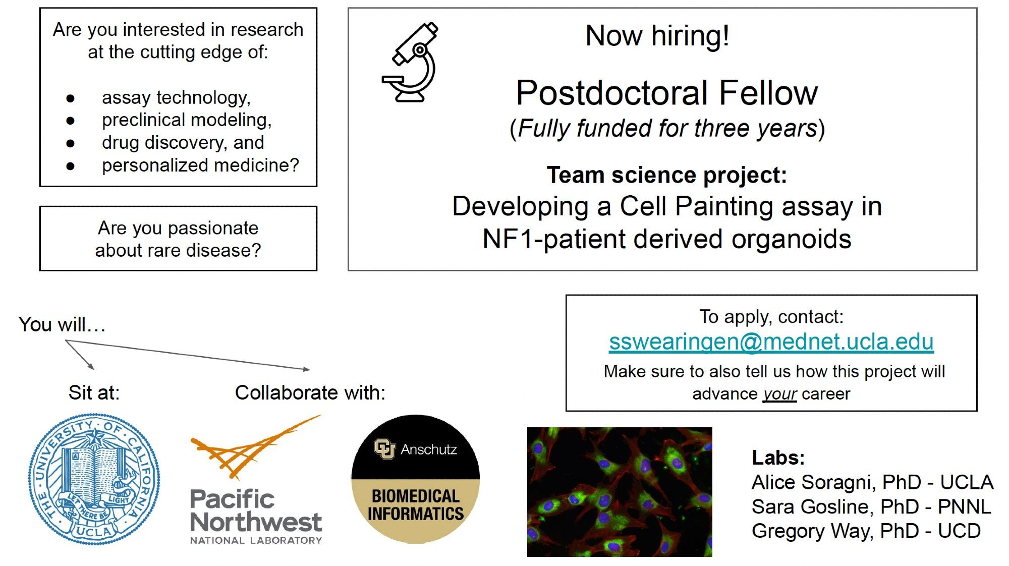 Ad for postdoc job at UCLA in the Soragni Lab. To apply send CV, list of 3 refs and cover letter to: sswearingen@mednet.ucla.edu