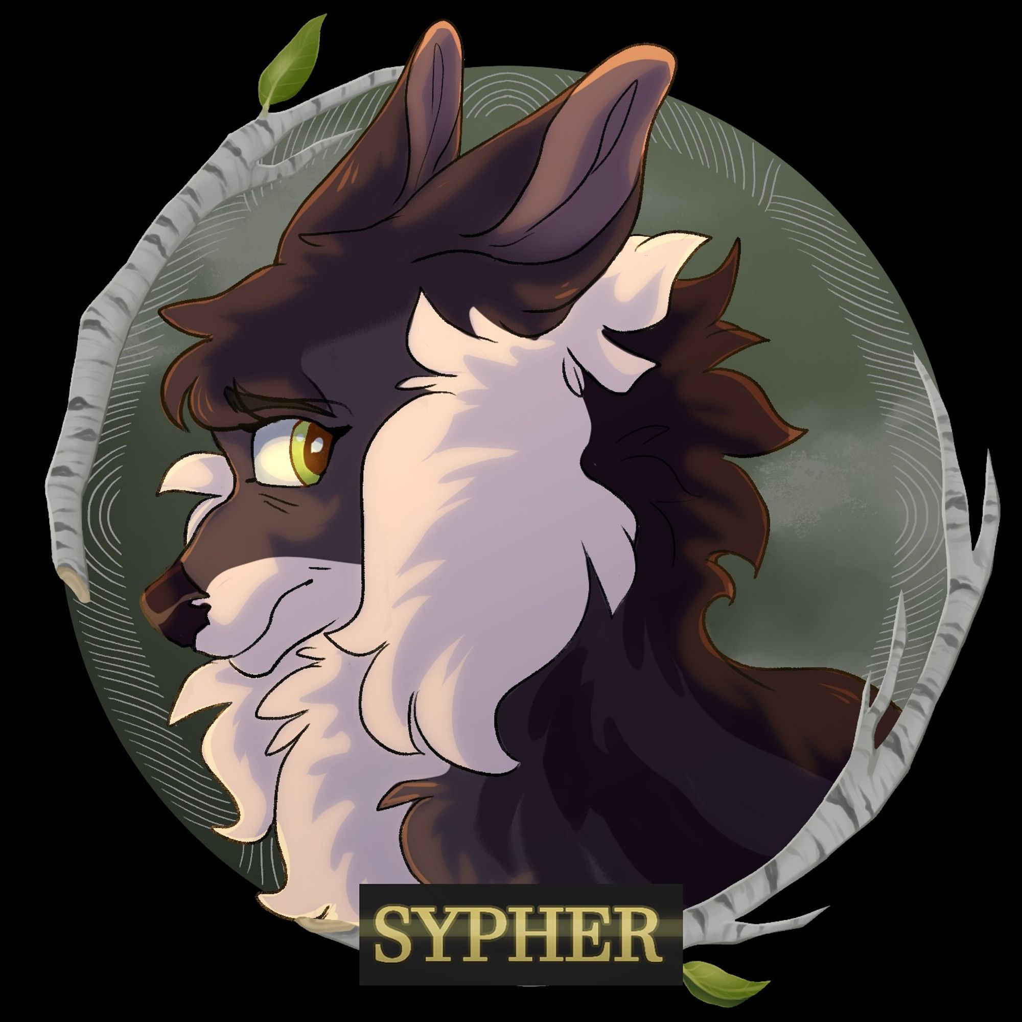 headshot of a wolf named sypher