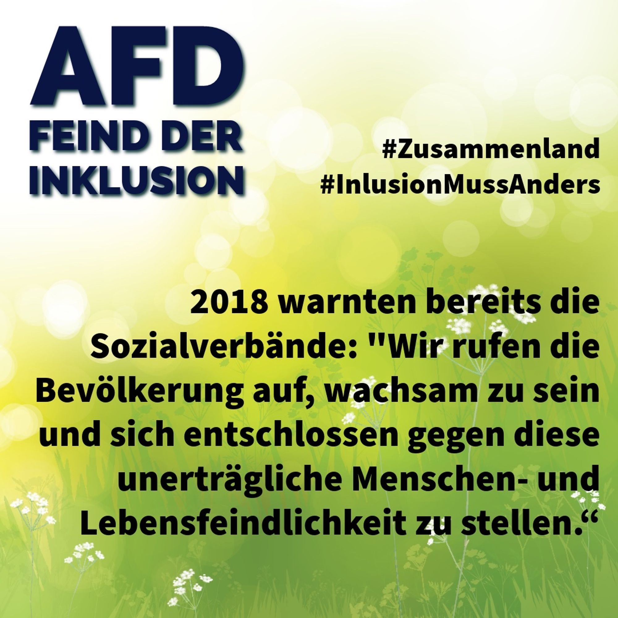 Oben links: AfD Feind der Inklusion
Oben rechts: #Zusammenland #InklusionMussAnders
Text ab Mitte: 2018 warnten bereits die Sozialverbände: "Wir rufen die Bevölkerung aus, wachsam zu sein und sich entschlossen gegen diese unerträgliche Menschen- und Lebensfeindlichkeit zu stellen."