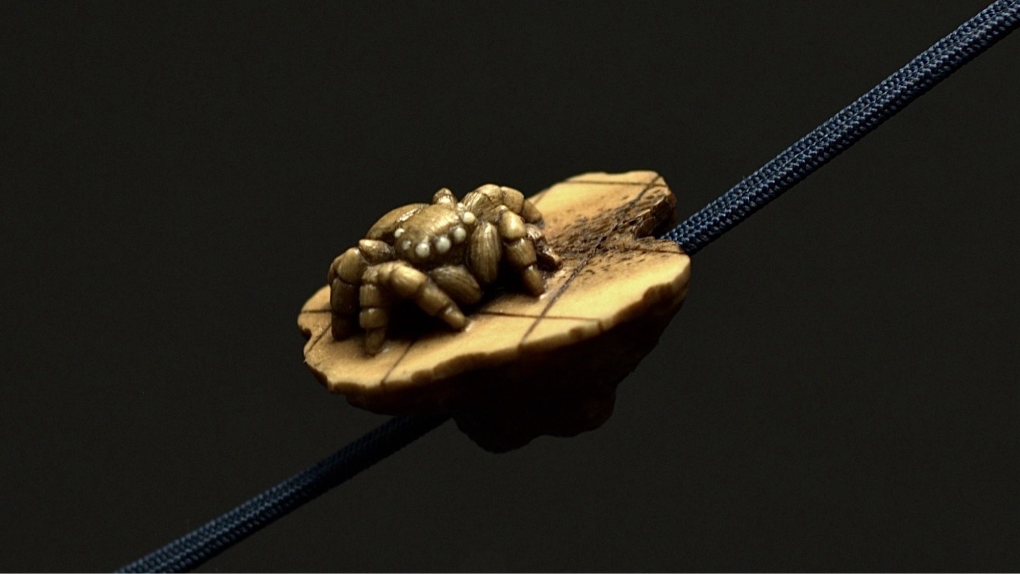 Title : Jumping spider(Ojime)
2.7cm × 2.0cm × 1.9cm
Deer horn
2024