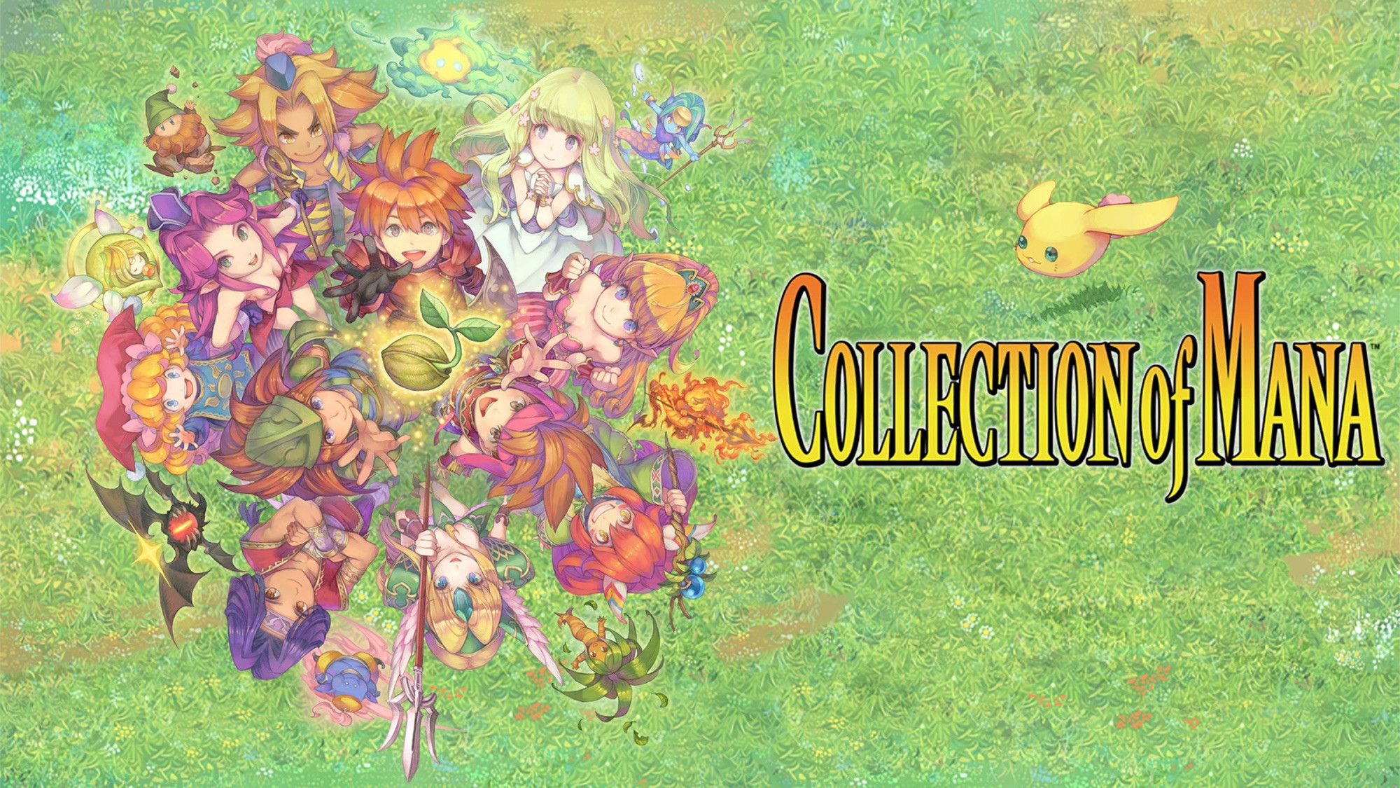 Promotional art for Collection of Mana.