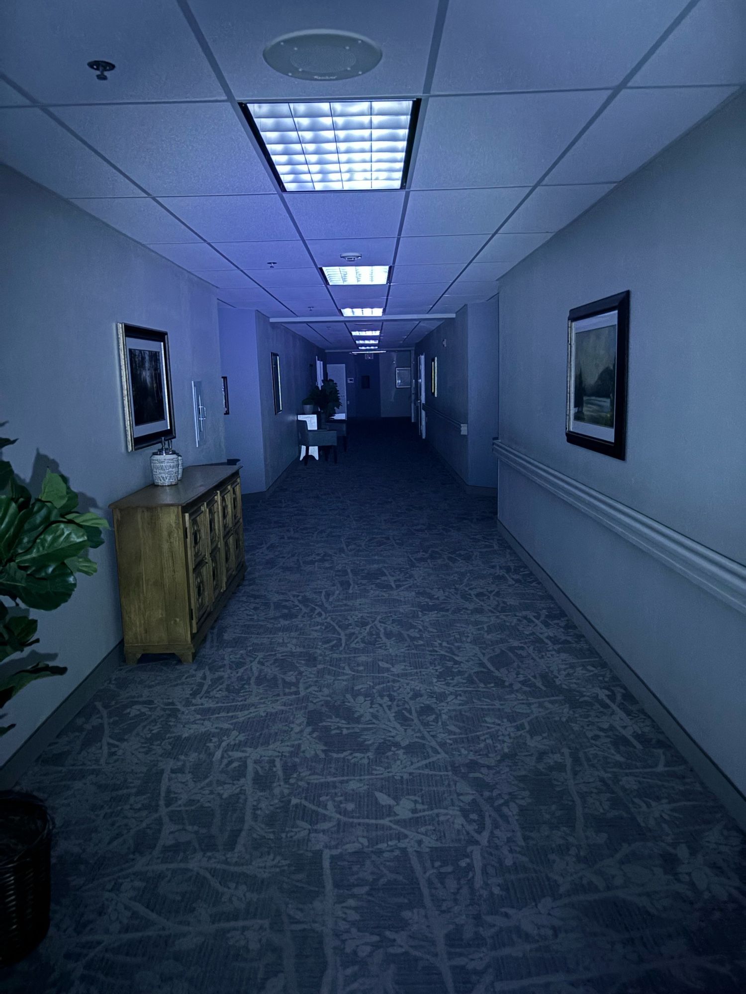 A dark, liminal hallway only lit up with a flashlight