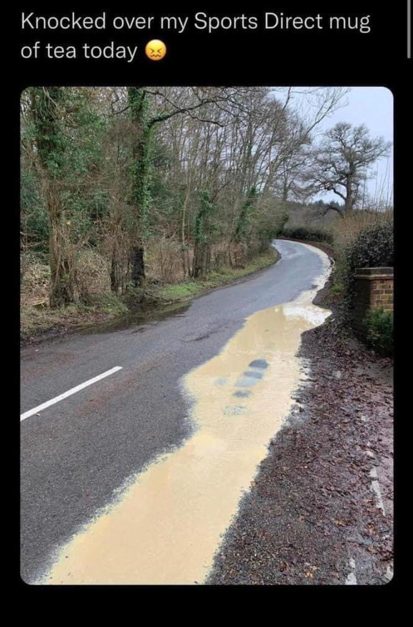 picture of a country road with a large and about 100m long, light brown puddle along one side. Caption at top reads 'Knocked over my Sports Direct mug of tea over today *angry emoji*"