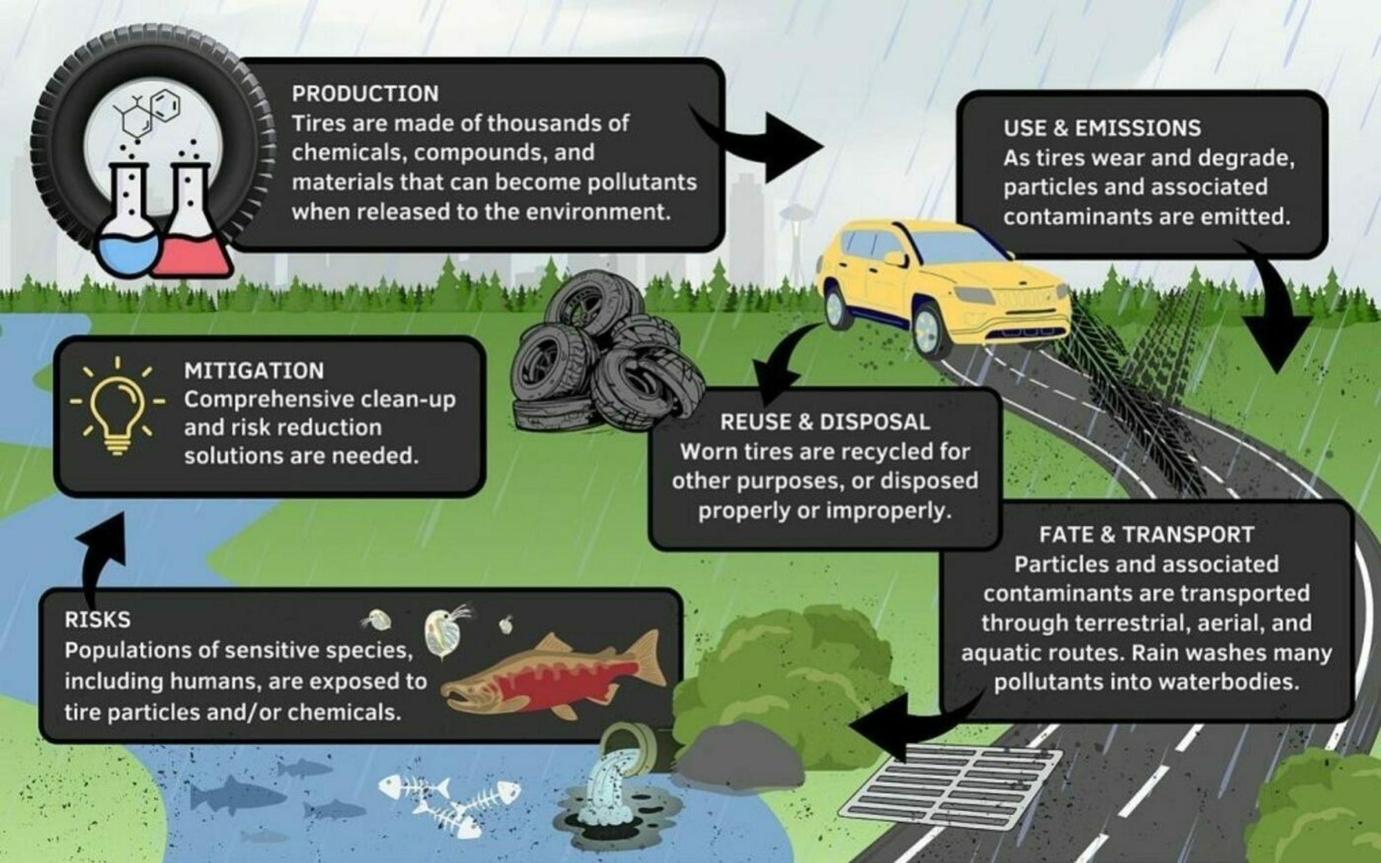 Graphic describing life cycle of a tire from in-use in driving through the mechanisms by which pollution is carried away from roads. 